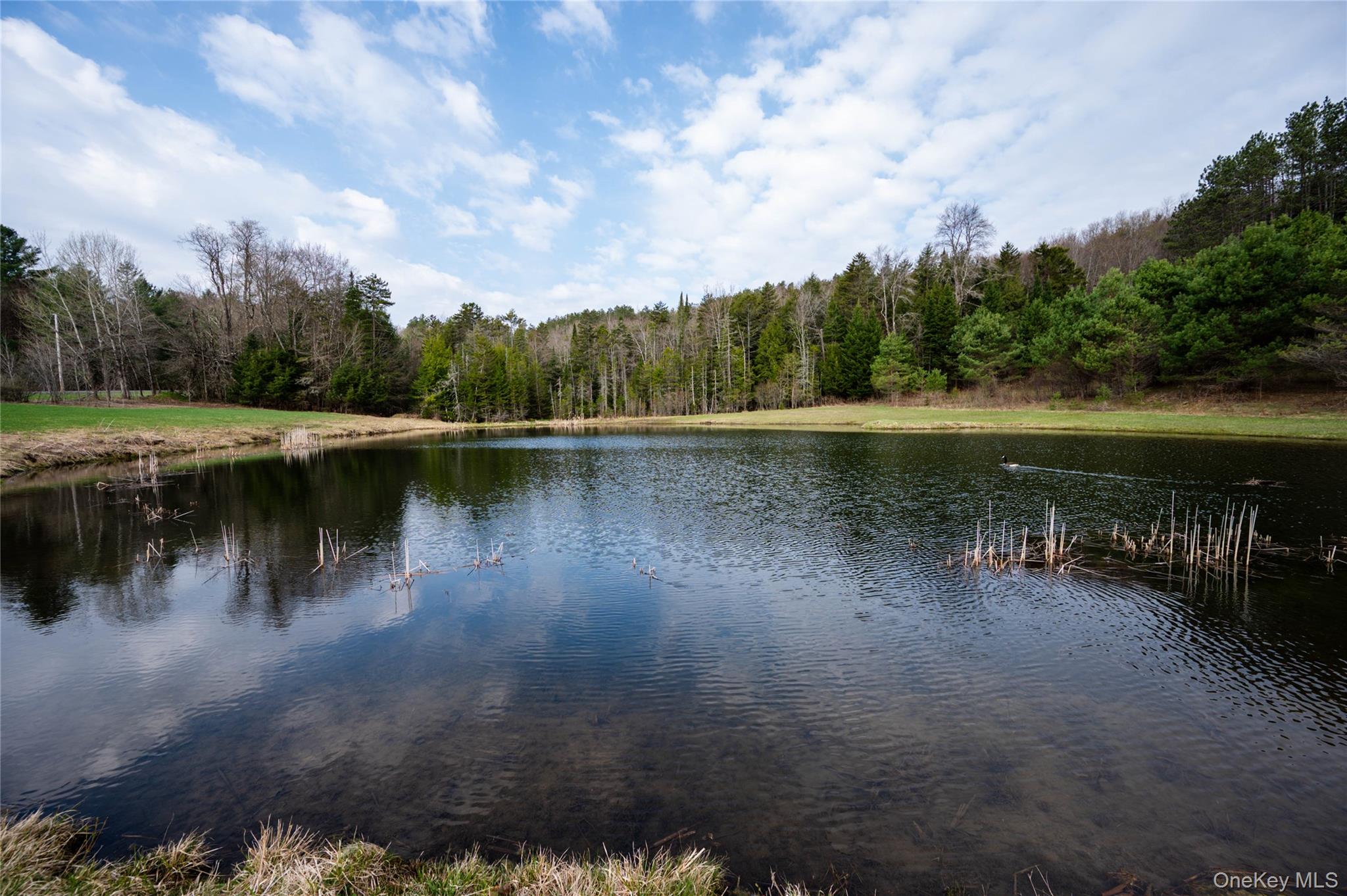 849 Hurricane Road – For Sale photo 41