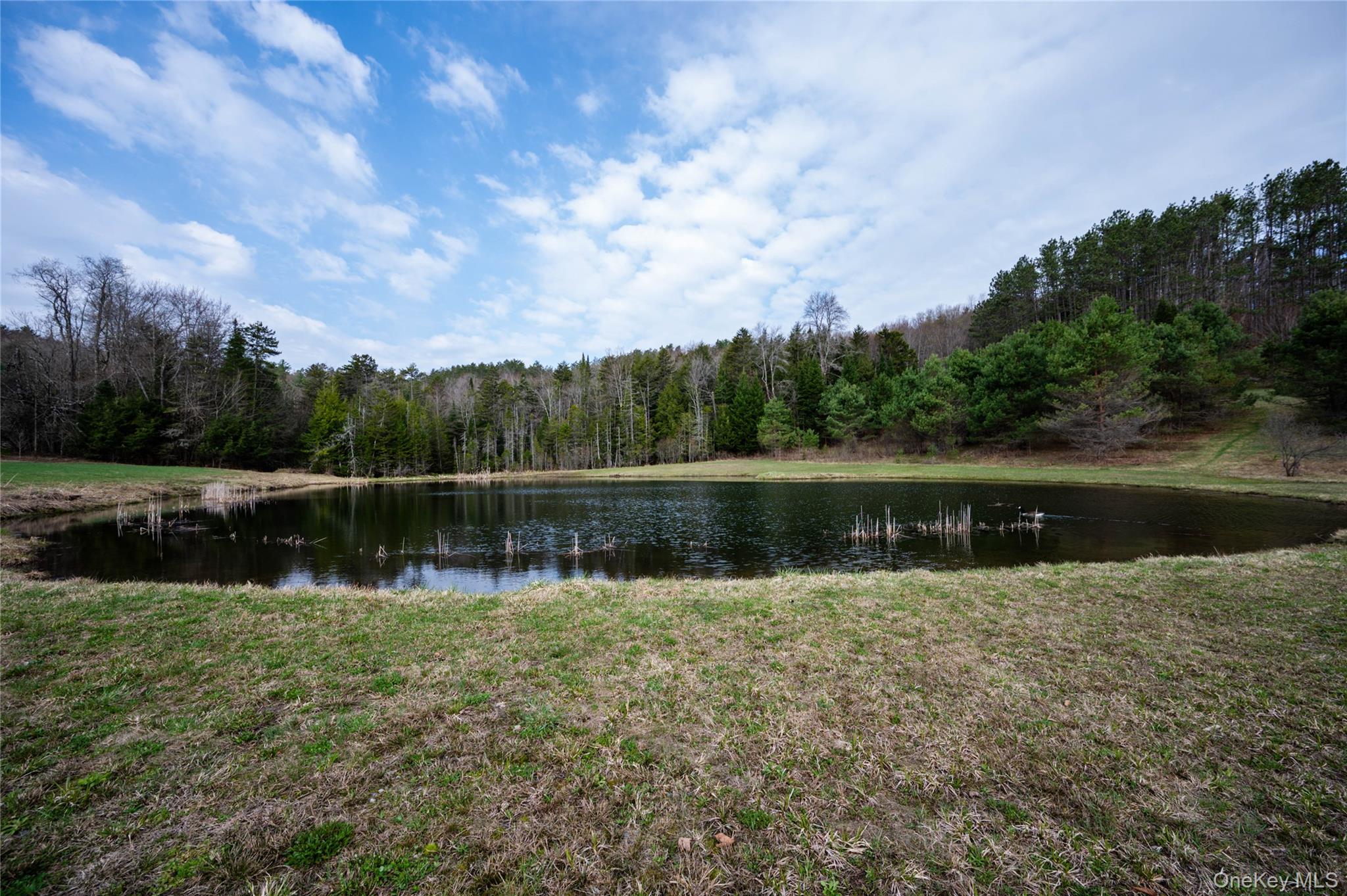 849 Hurricane Road – For Sale photo 40