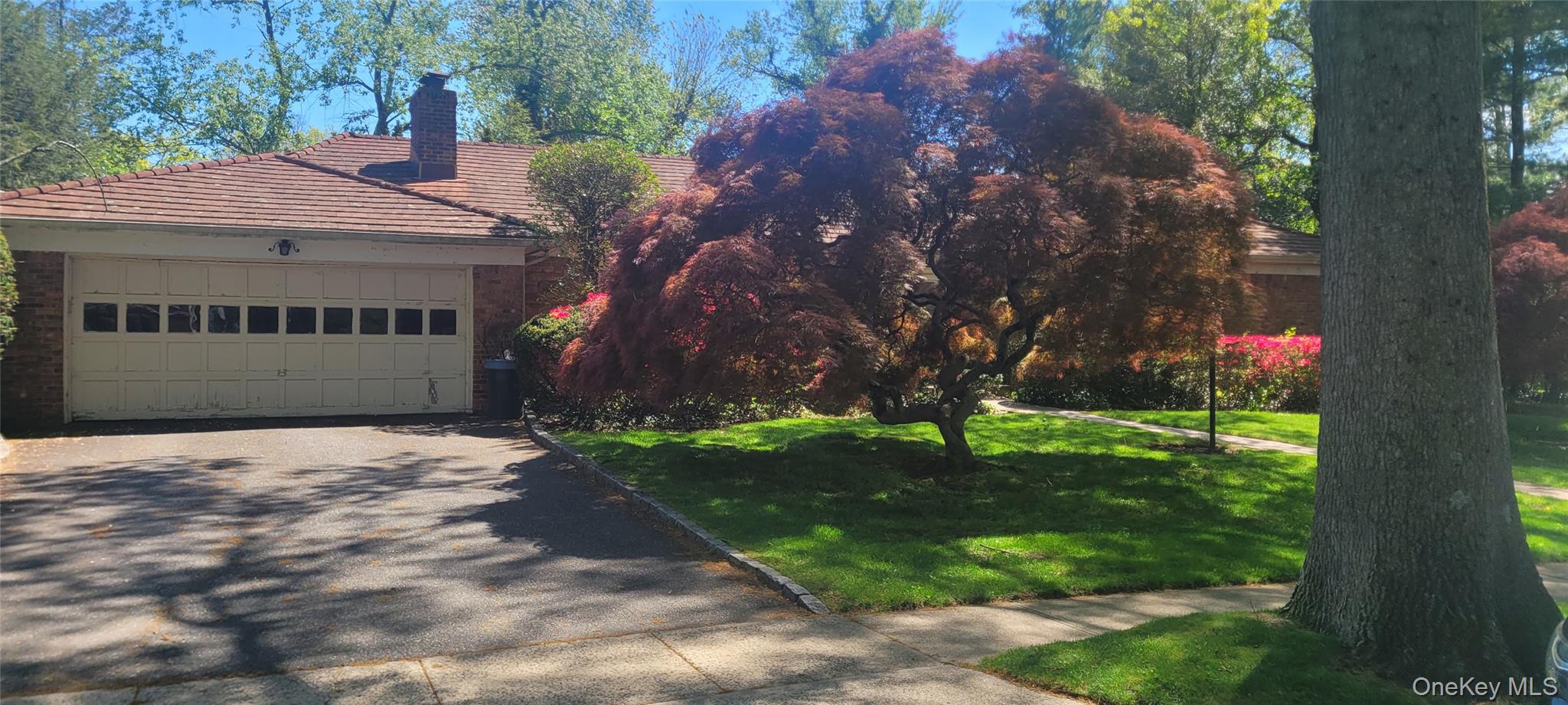 15 Somerset Drive S – For Rent photo 3