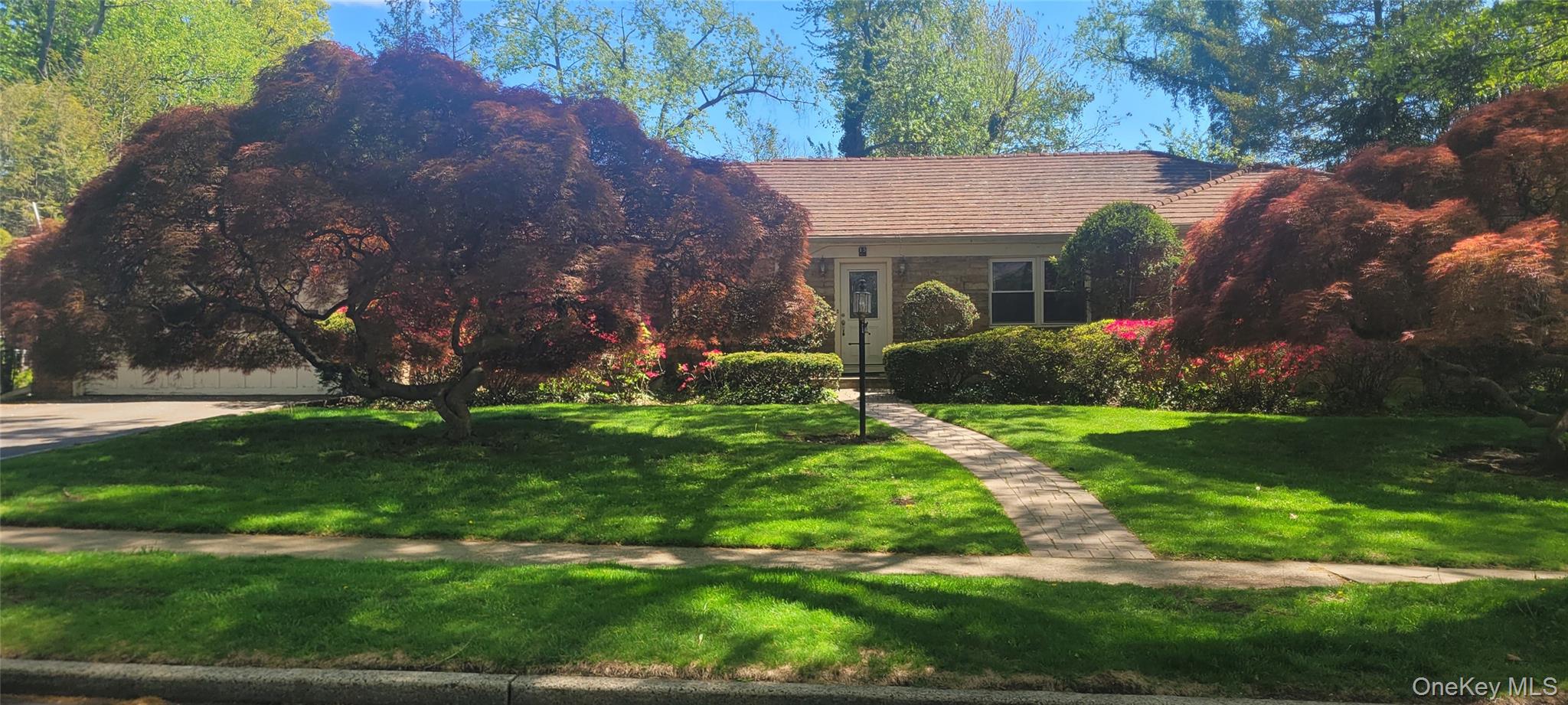 15 Somerset Drive S – For Rent photo 2