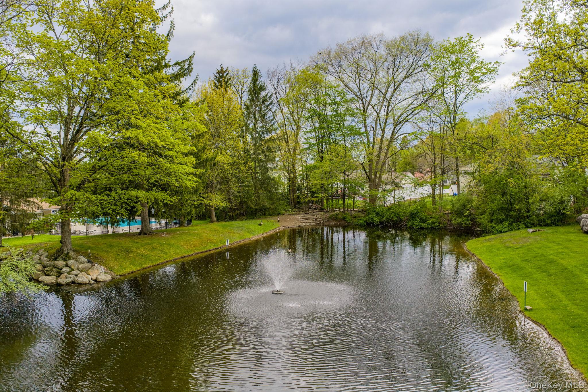 83 Deer Ct Drive – For Sale photo 43