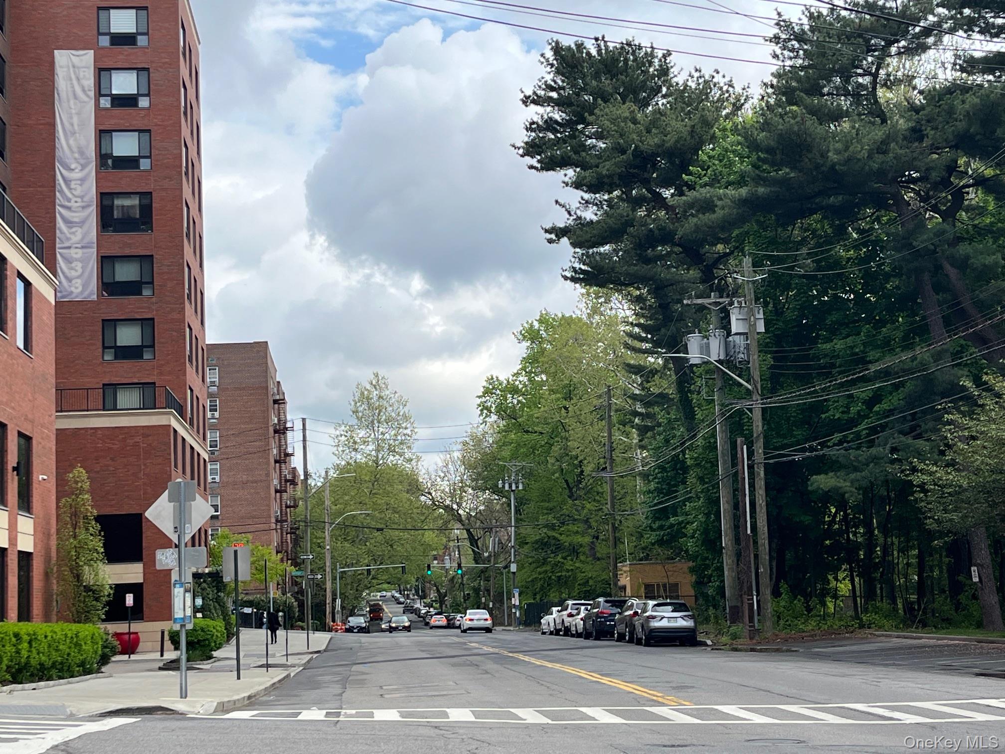 687 Bronx River Road Road, Unit 2A photo 15