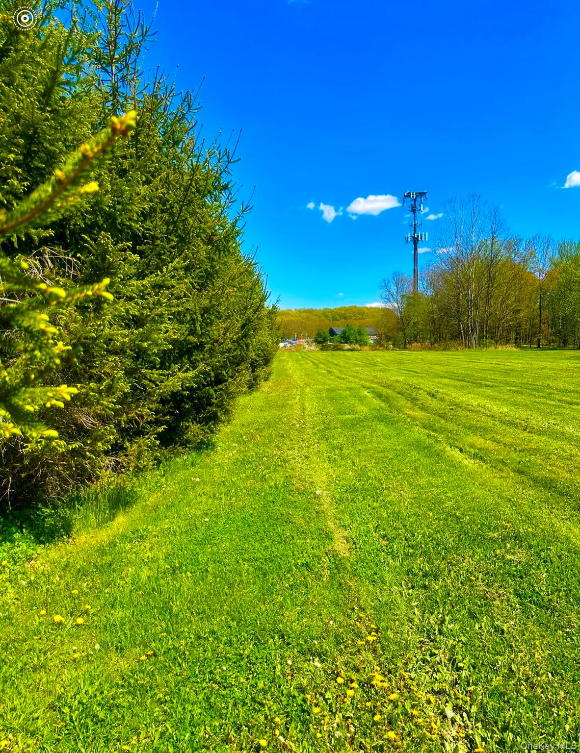 TBD LOT#3 Quaker Street – For Sale photo 3