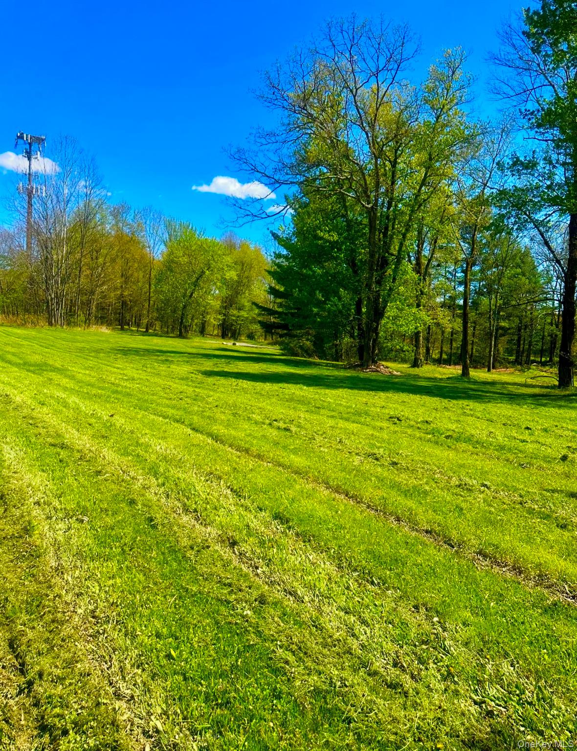 TBD LOT#3 Quaker Street – For Sale