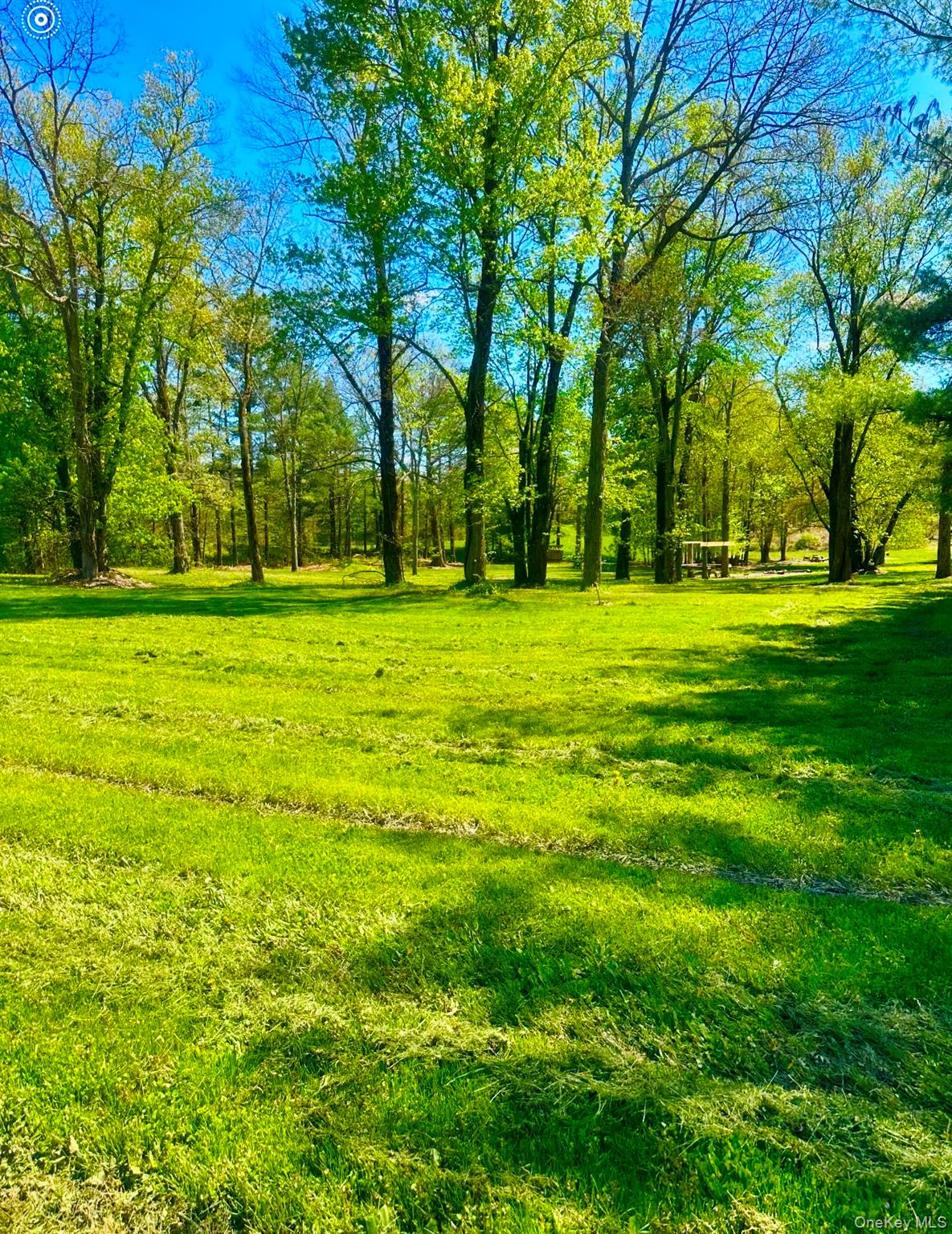 TBD LOT#3 Quaker Street – For Sale photo 2