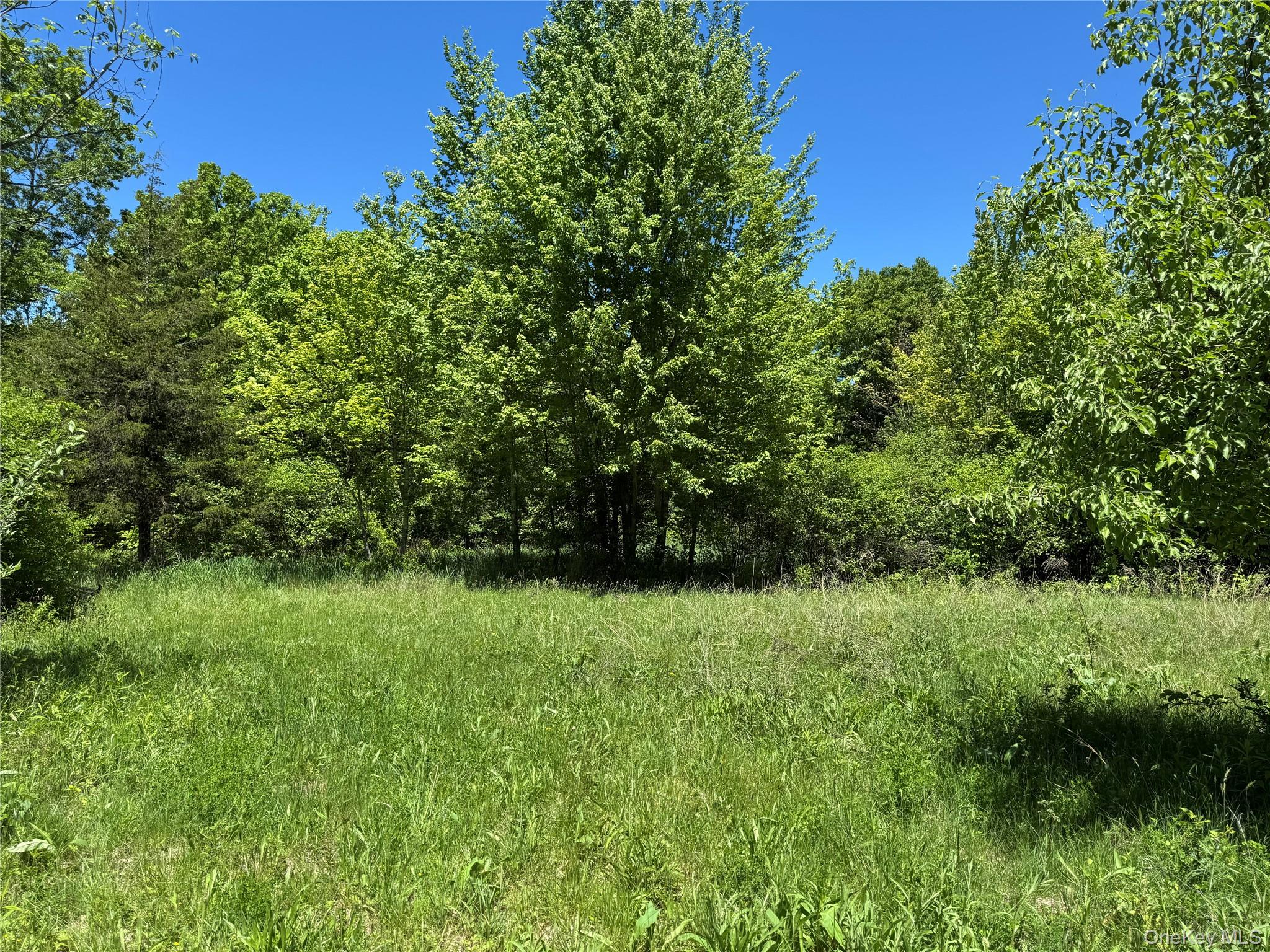Parcel 1 – TBD Woodstock Road – For Sale photo 6