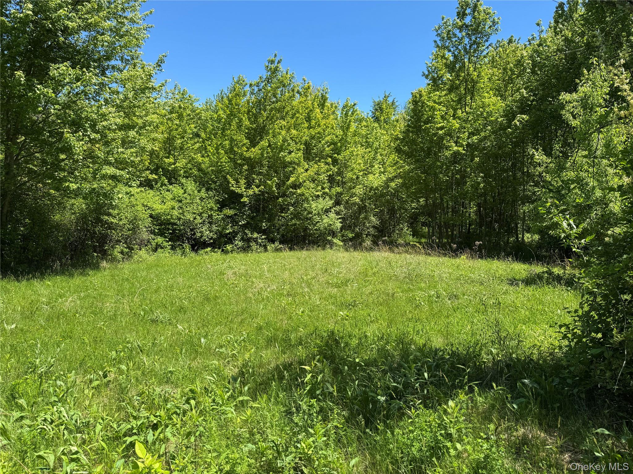 Parcel 1 – TBD Woodstock Road – For Sale photo 2