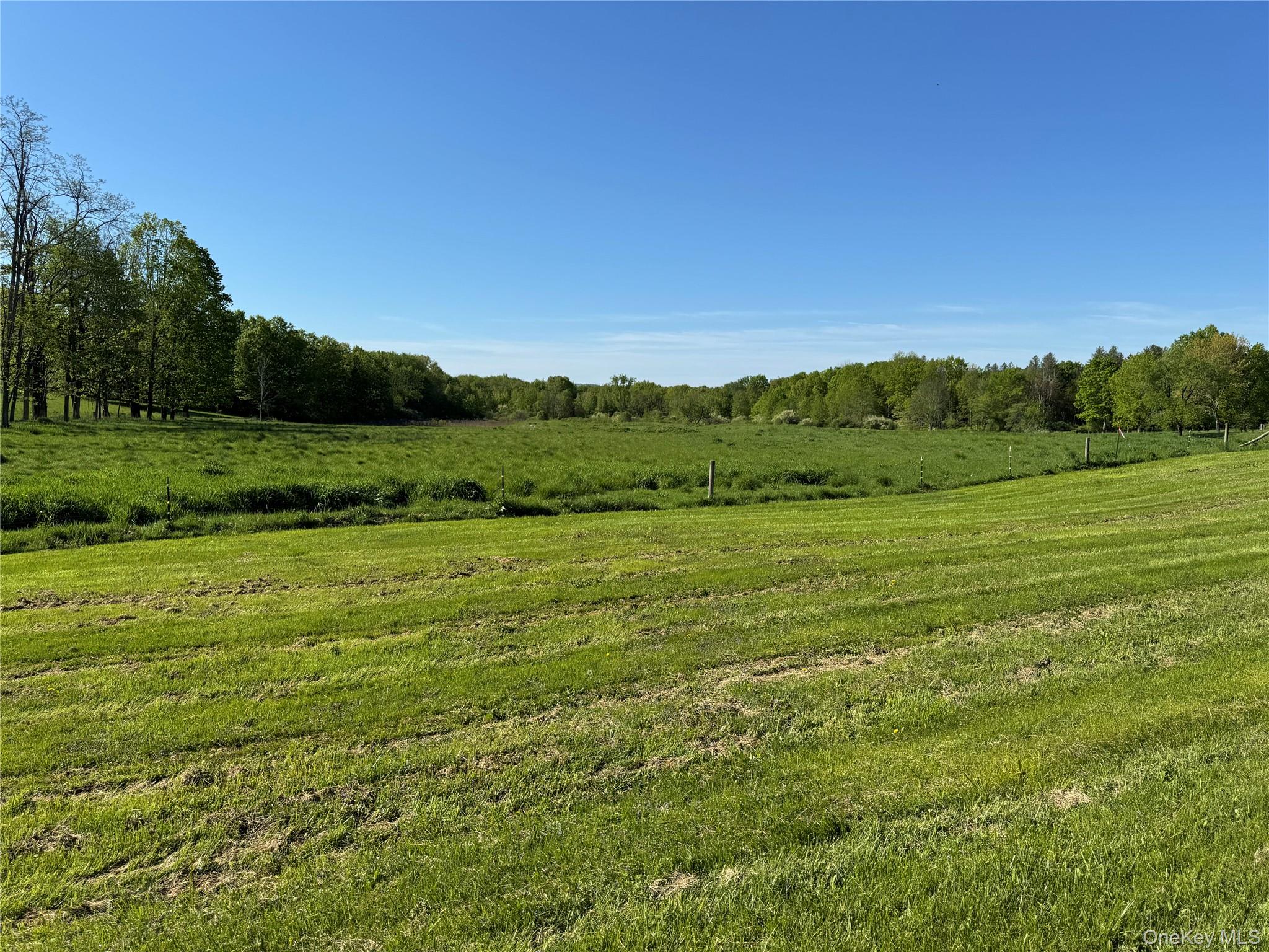 TBD Woodstock Road – For Sale photo 4