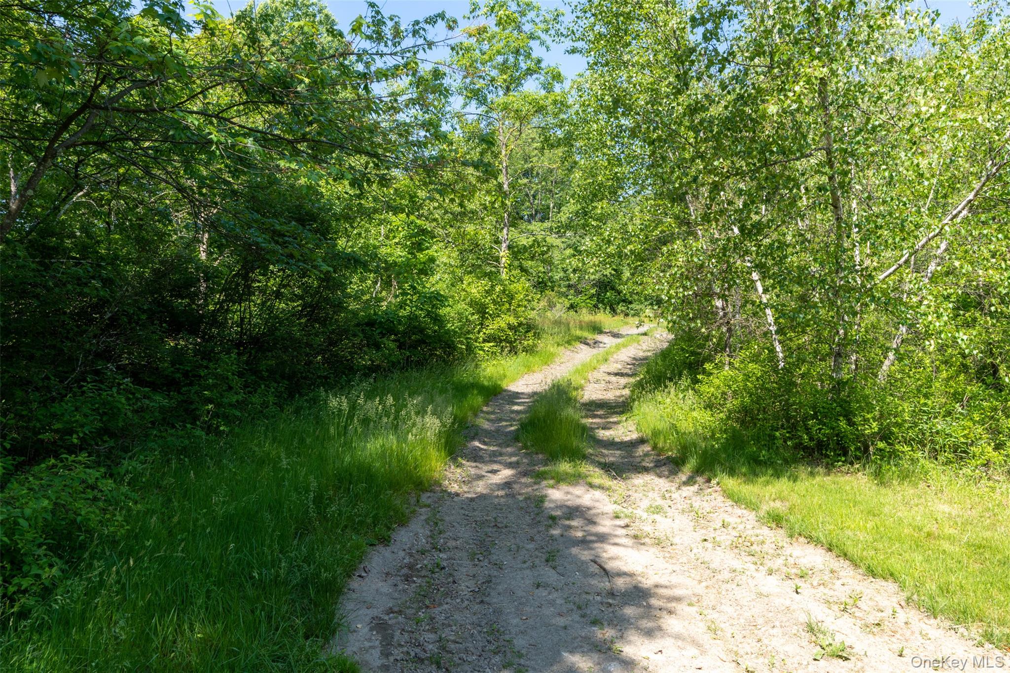 508 Woodstock Road – For Sale photo 41