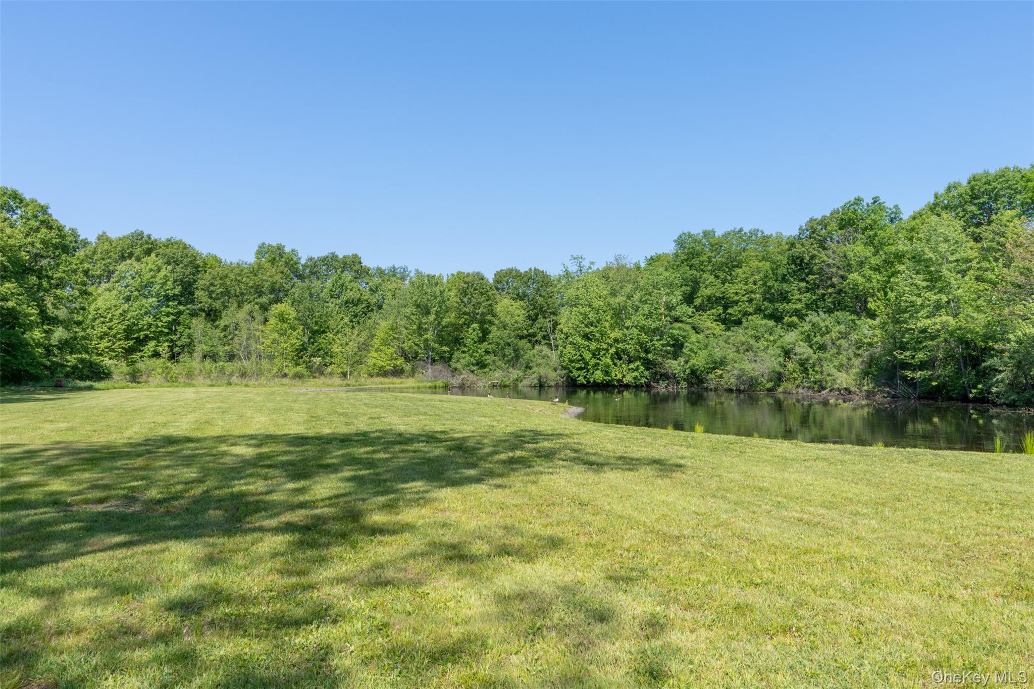 508 Woodstock Road – For Sale photo 36