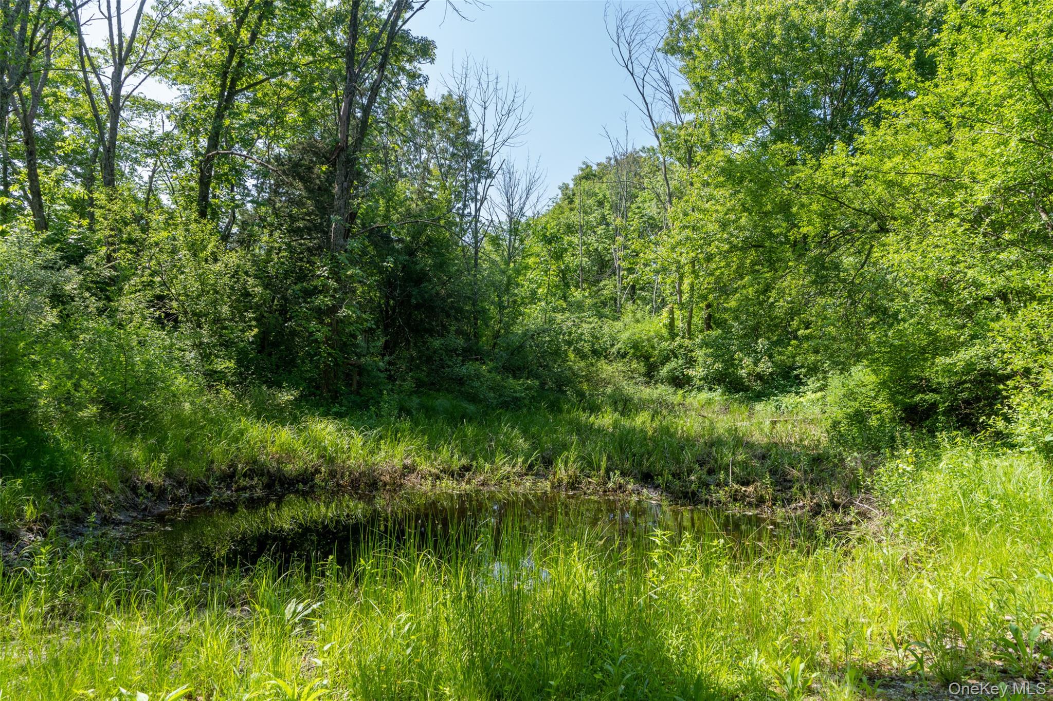 508 Woodstock Road – For Sale photo 39