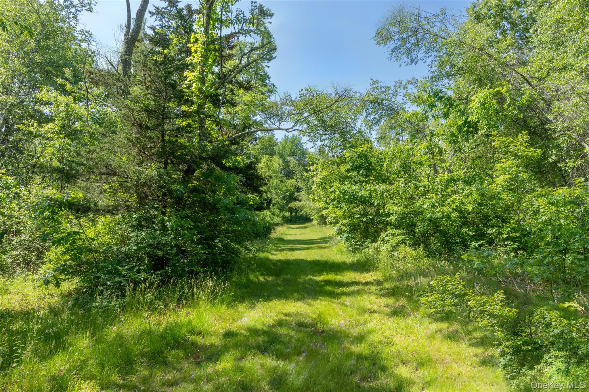 508 Woodstock Road – For Sale photo 40