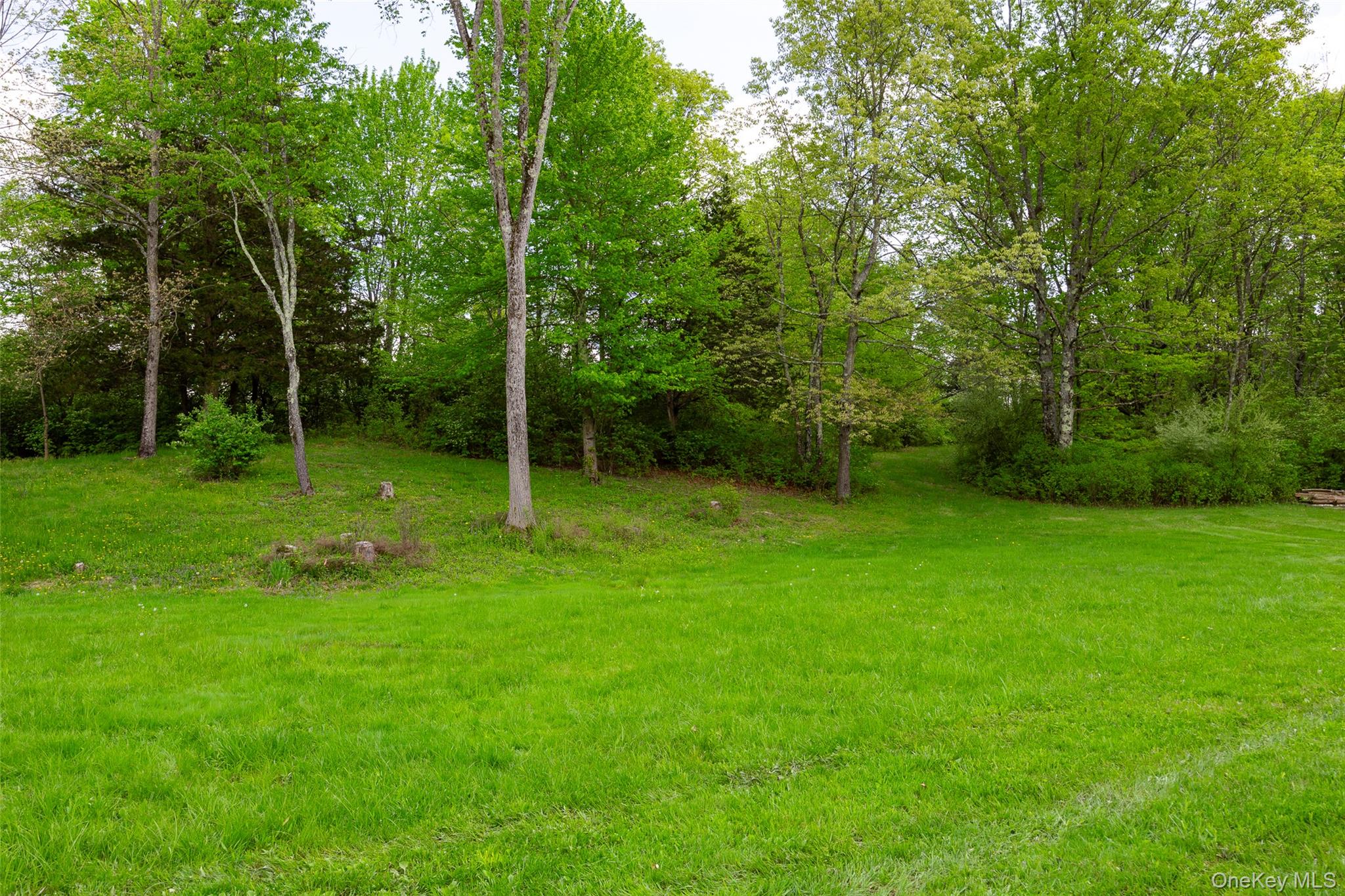 508 Woodstock Road – For Sale photo 29