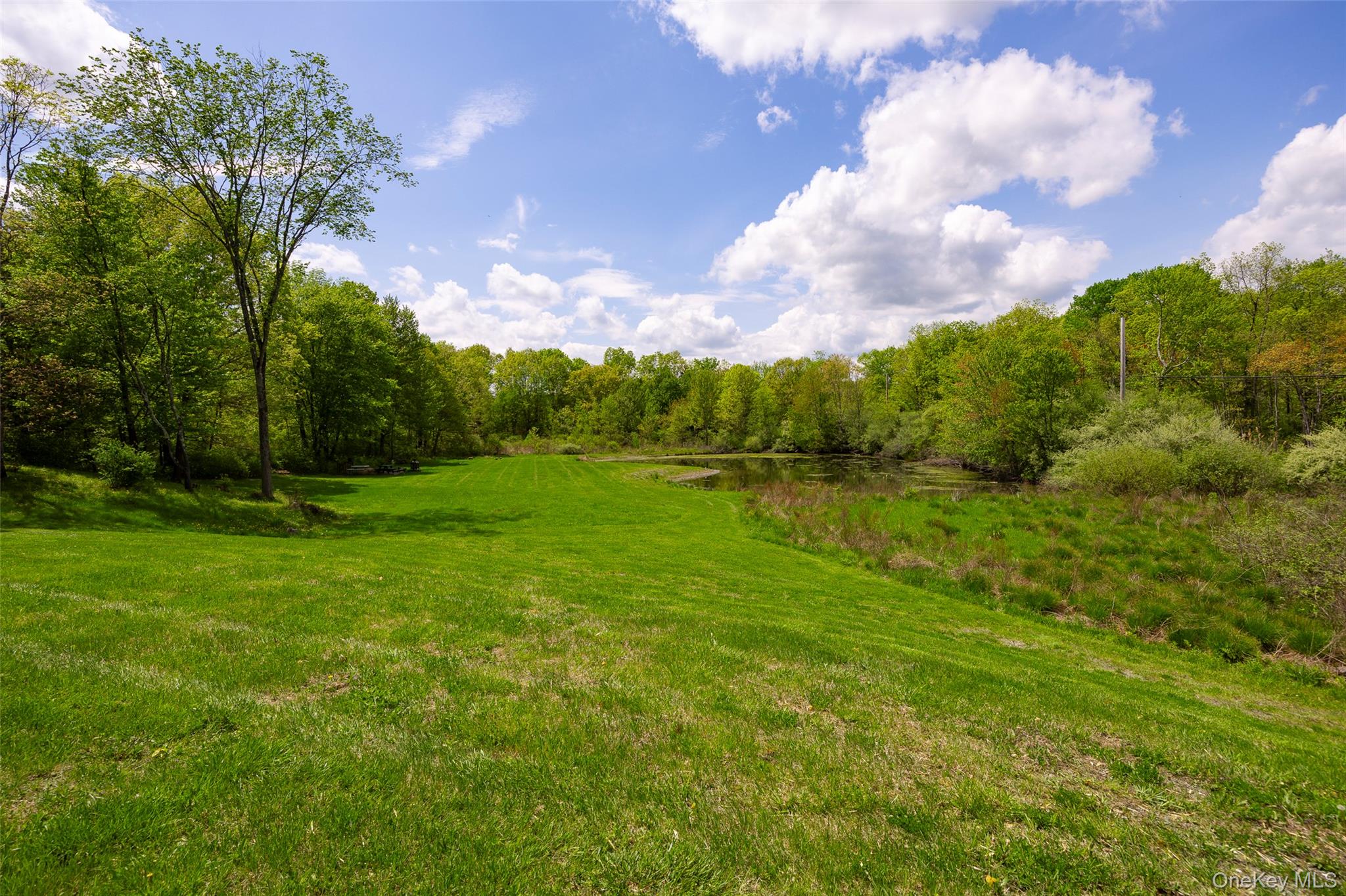 508 Woodstock Road – For Sale photo 28