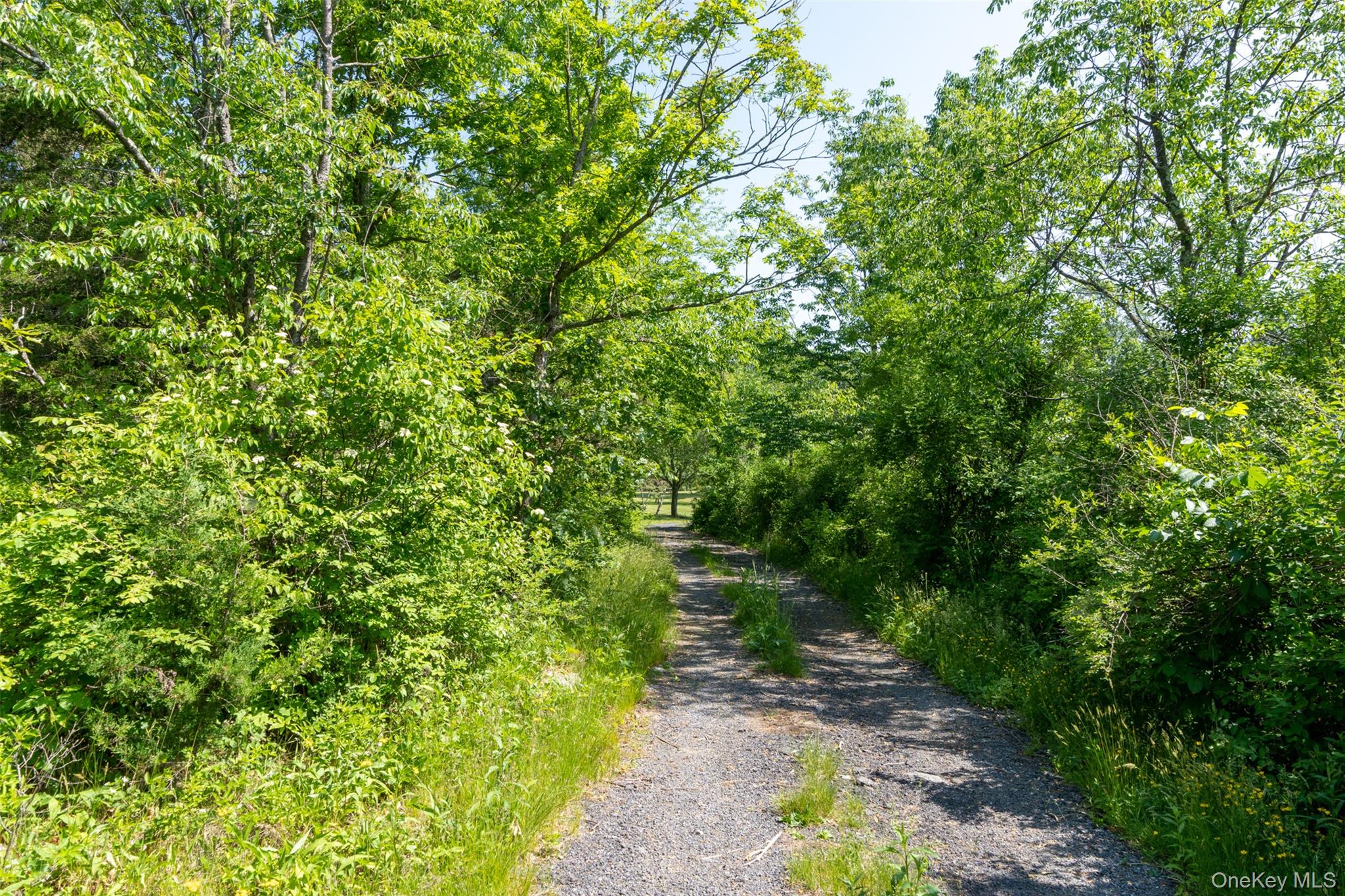 508 Woodstock Road – For Sale photo 42
