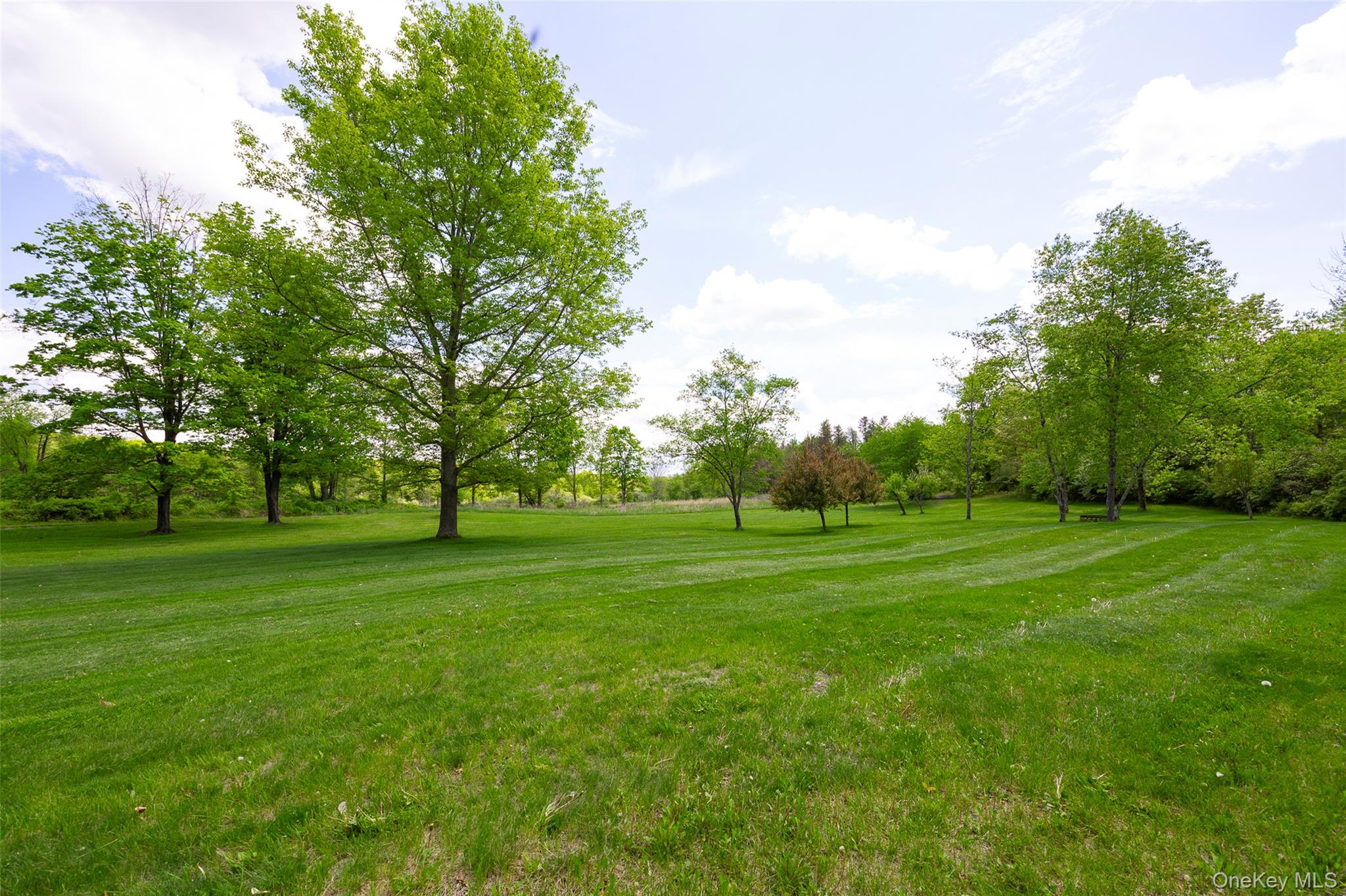 508 Woodstock Road – For Sale photo 25