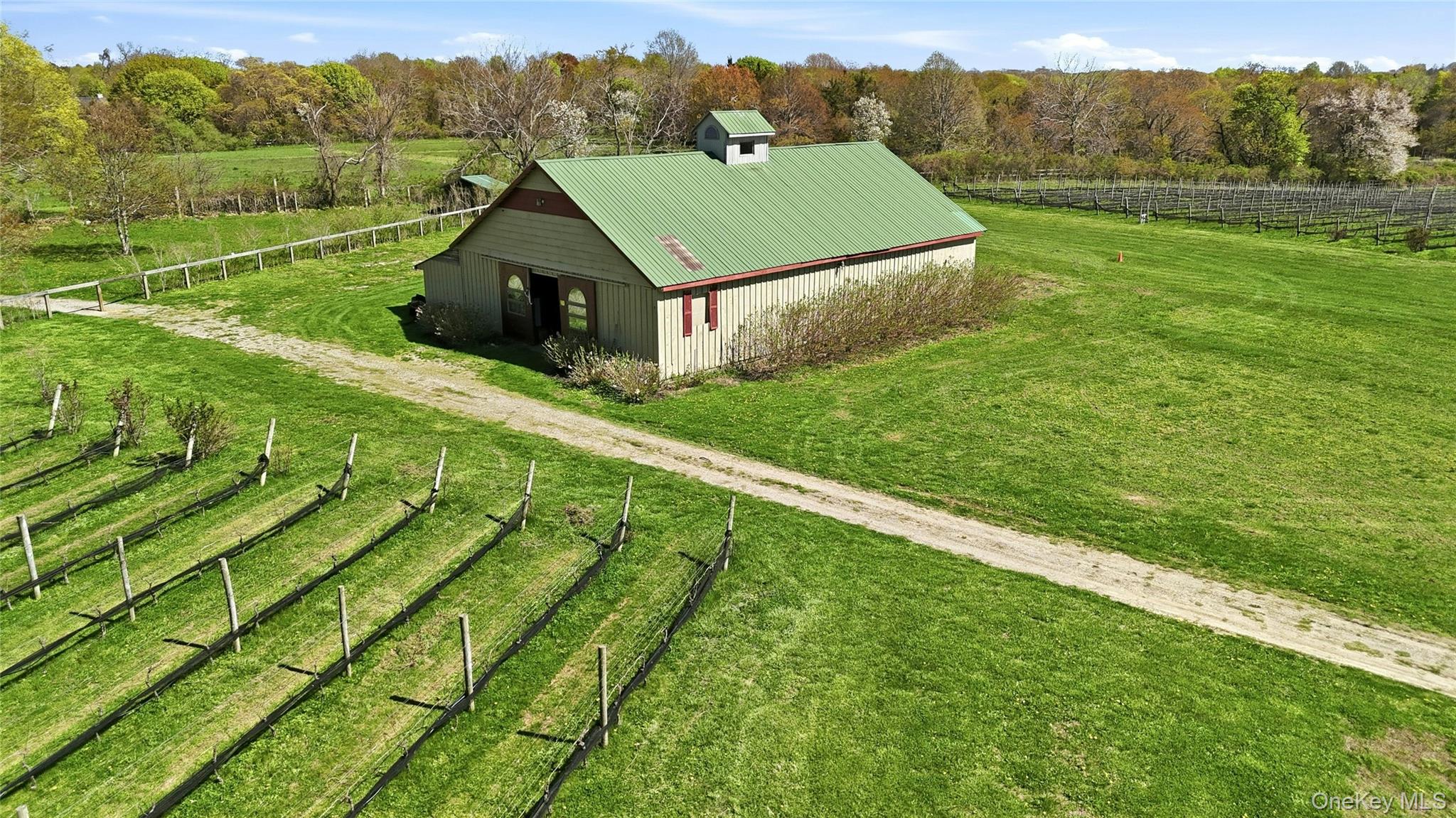 35950 Main Road – For Sale photo 4