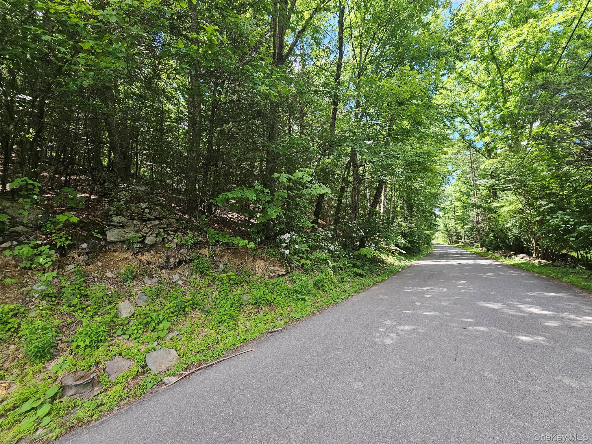 Trails End Road – For Sale photo 3