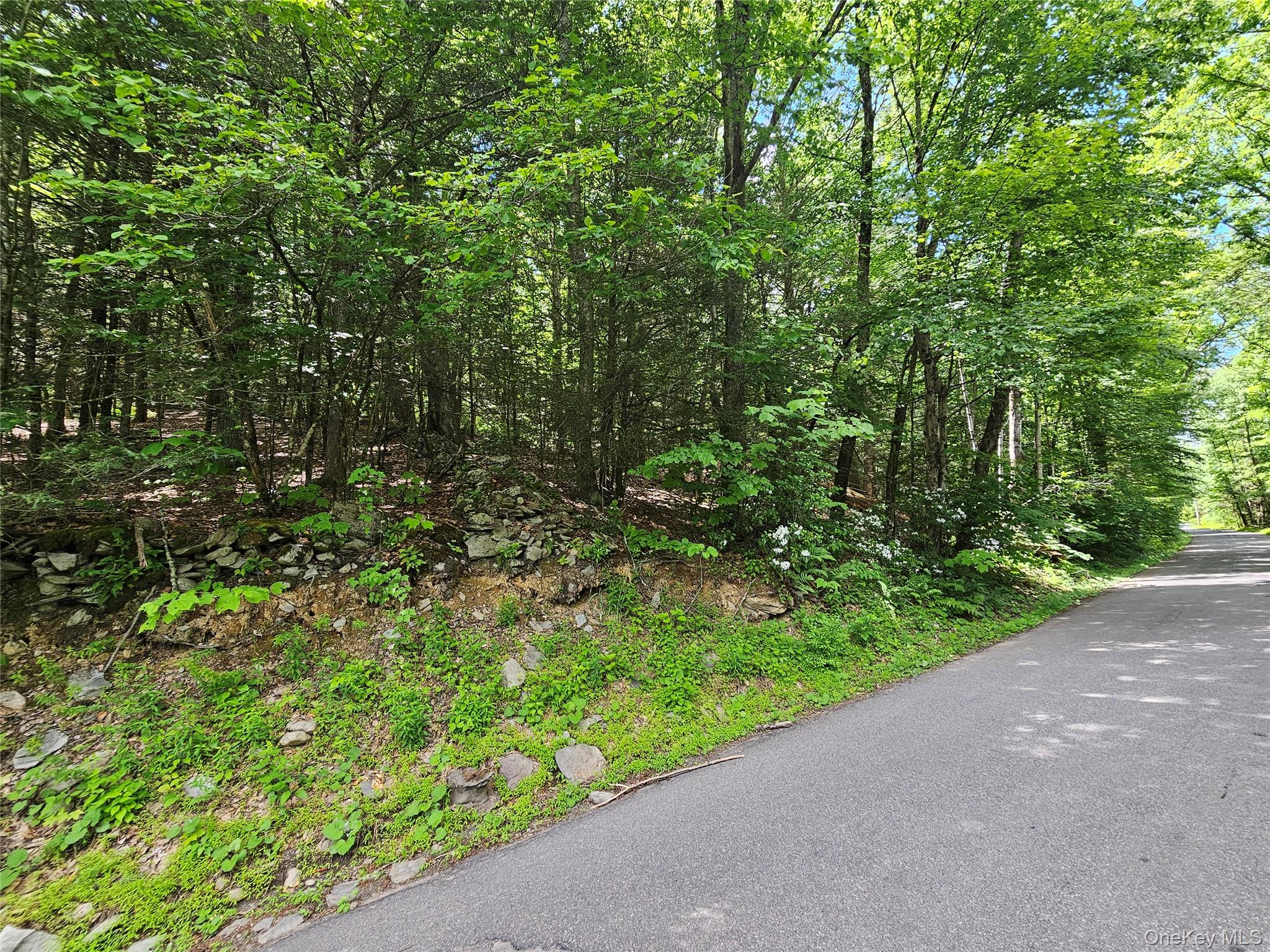 Trails End Road – For Sale photo 2