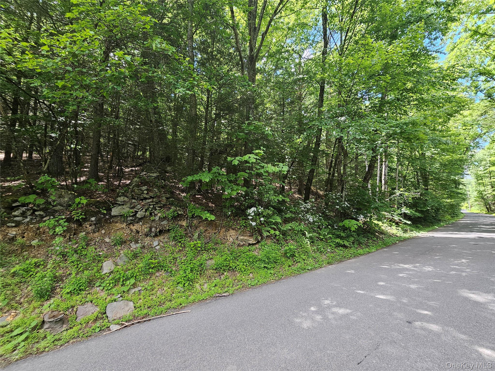 Trails End Road – For Sale photo 4