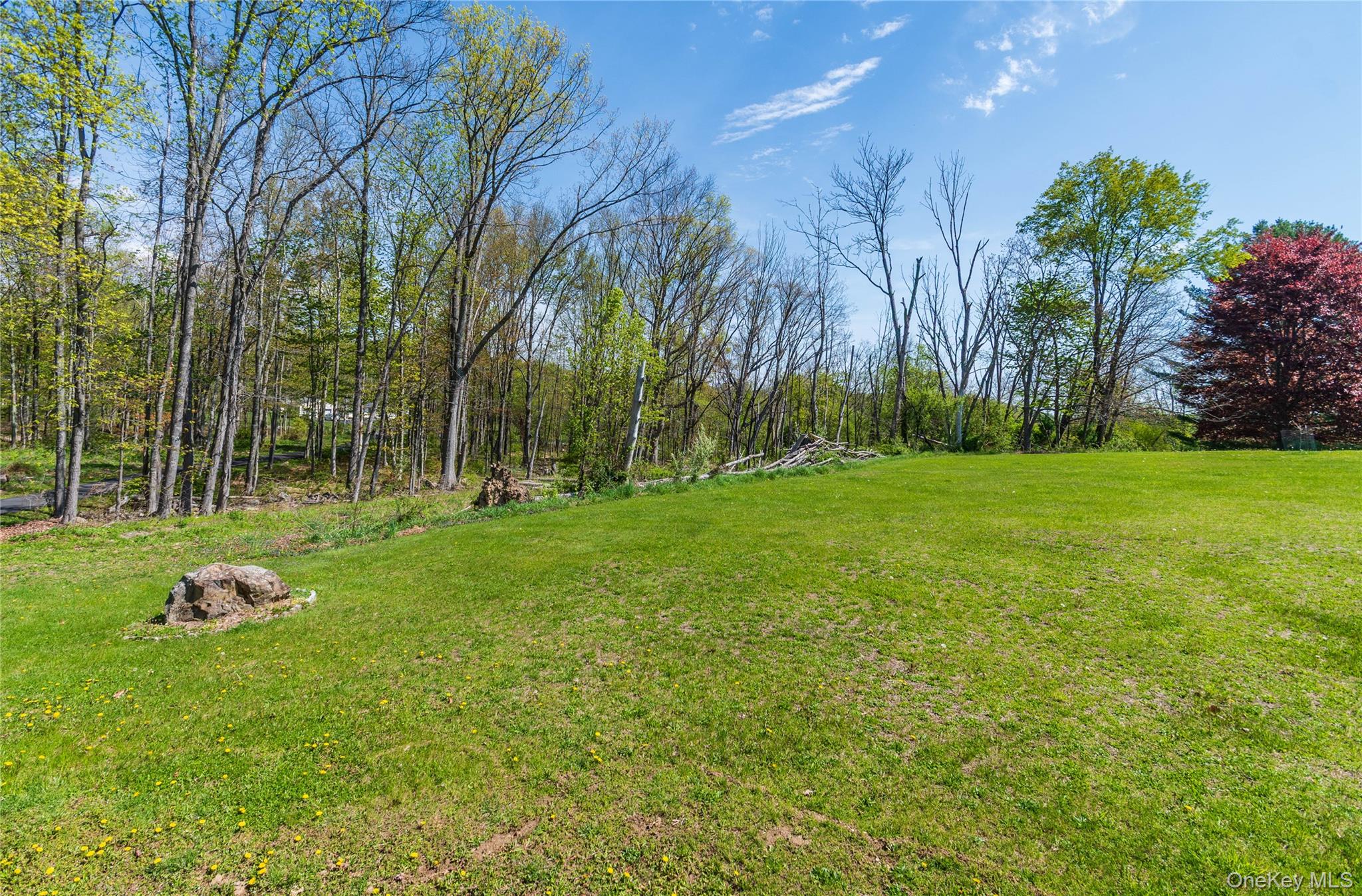 29 Murray Road – For Sale photo 24