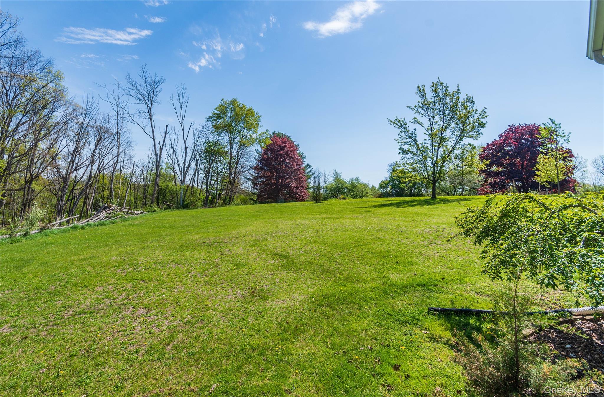 29 Murray Road – For Sale photo 23