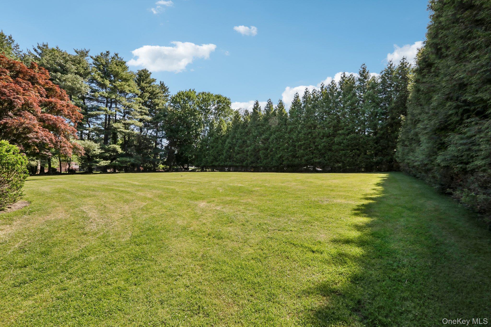 250 Old Mill Road – For Sale photo 49