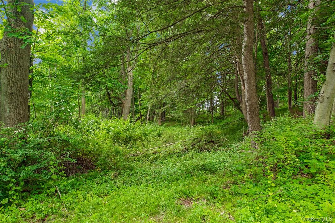 28 McLain – LOT 2 Street – For Sale photo 3