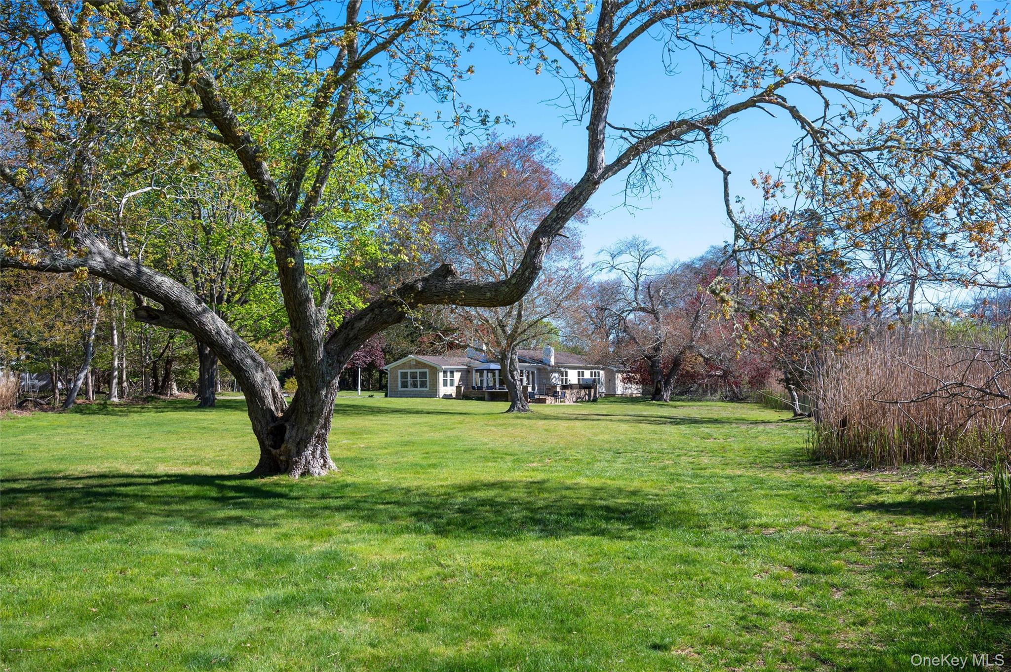 111 South Country Road – For Sale photo 23