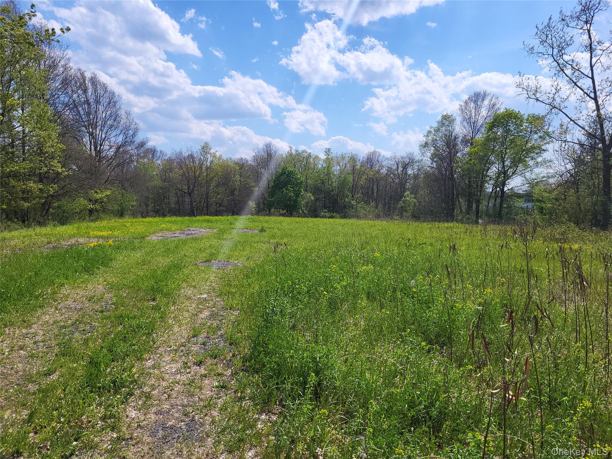 159 Bracken Road – For Sale photo 4