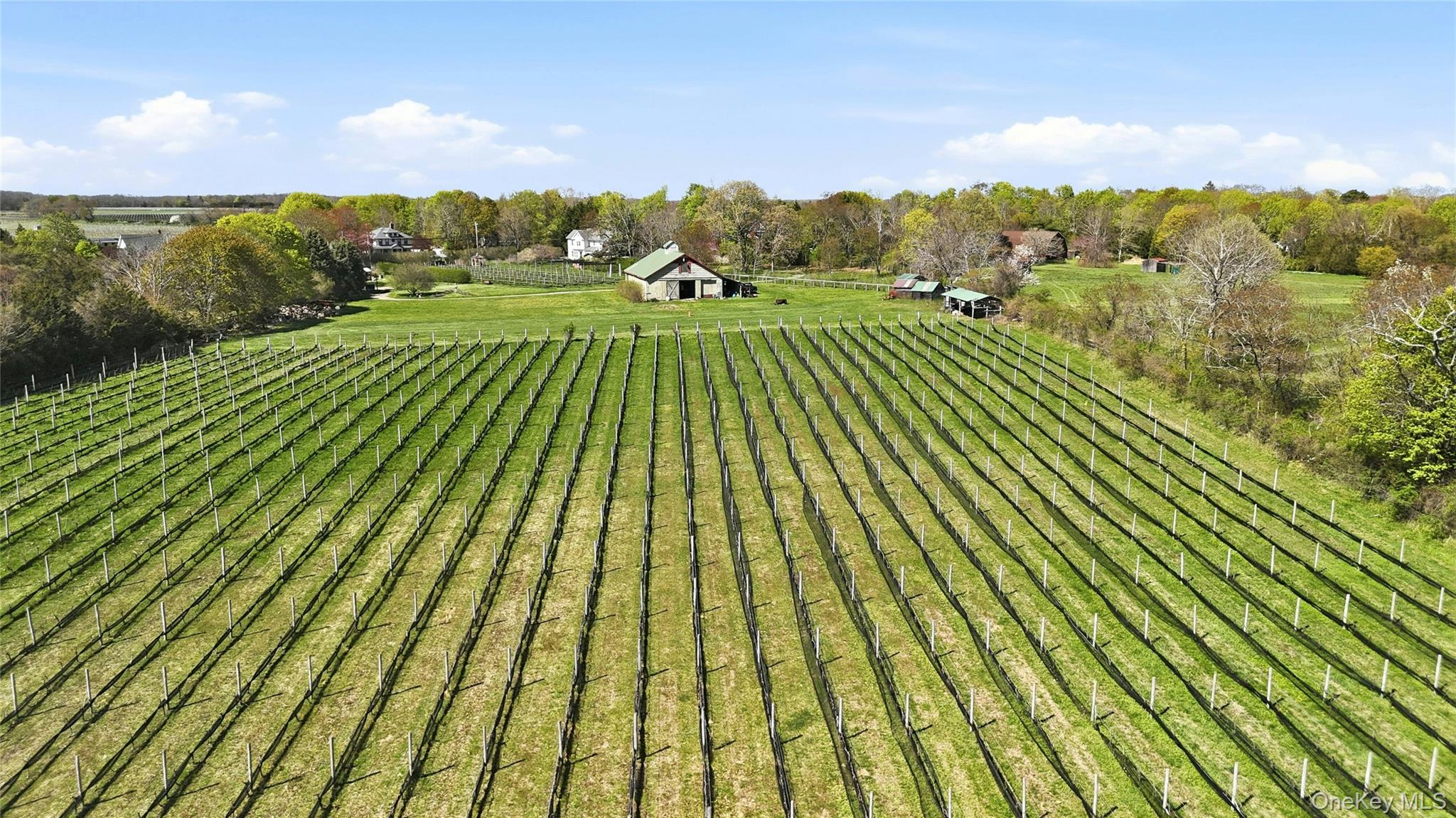 35950 Main Road – For Sale