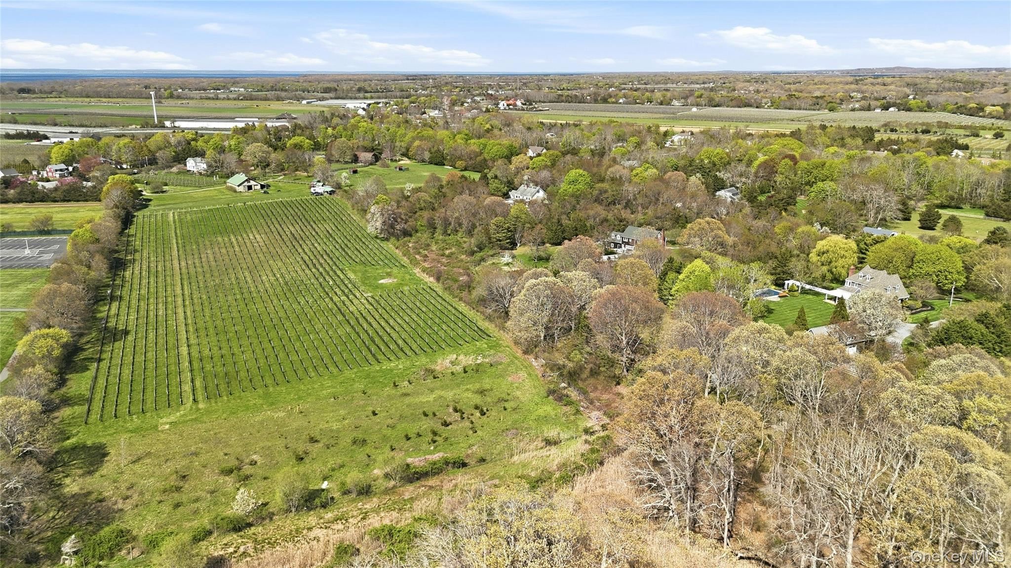 35950 Main Road – For Sale photo 18
