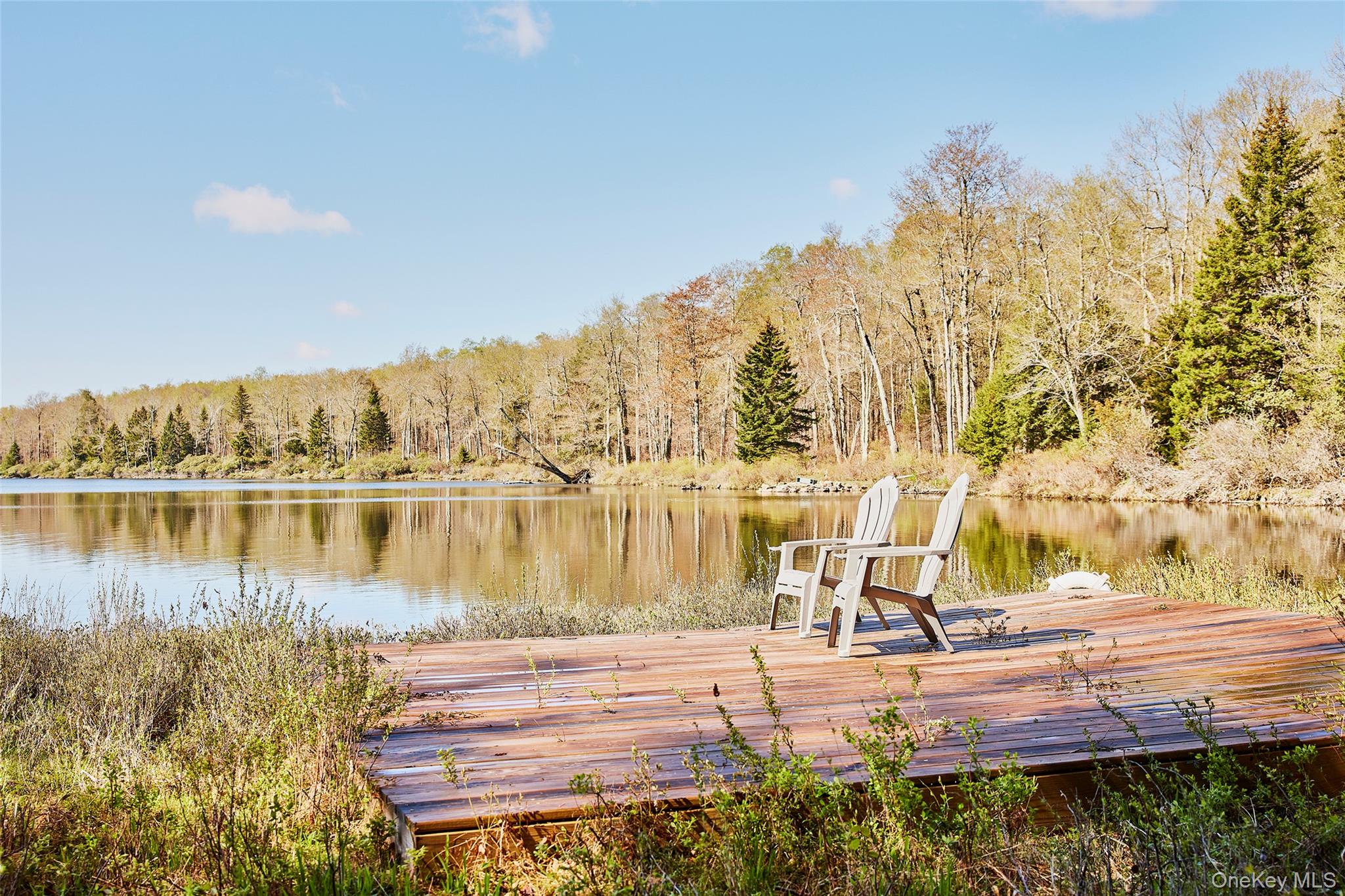 453 Little Ireland Road – For Sale photo 33