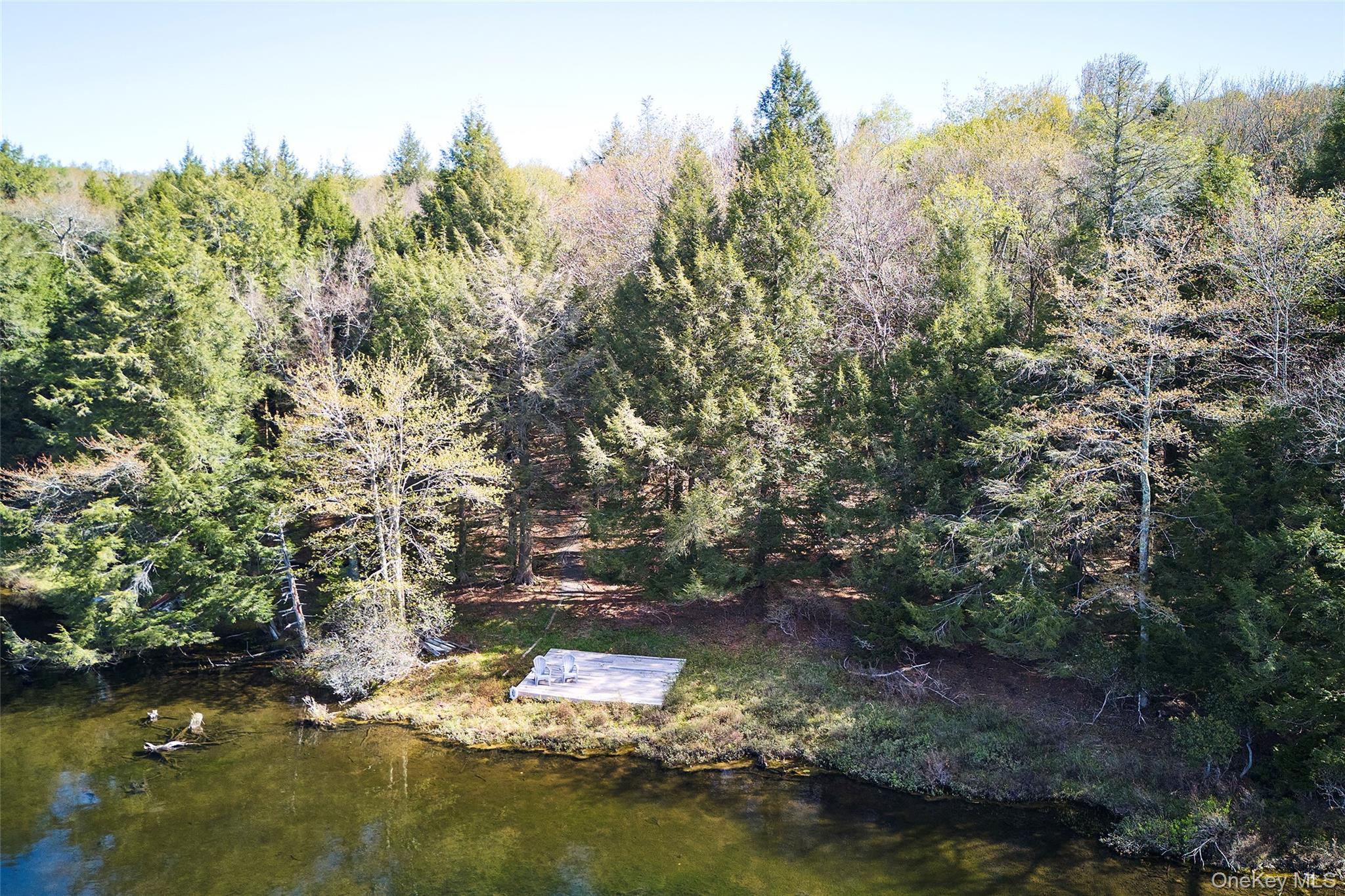 453 Little Ireland Road – For Sale photo 40