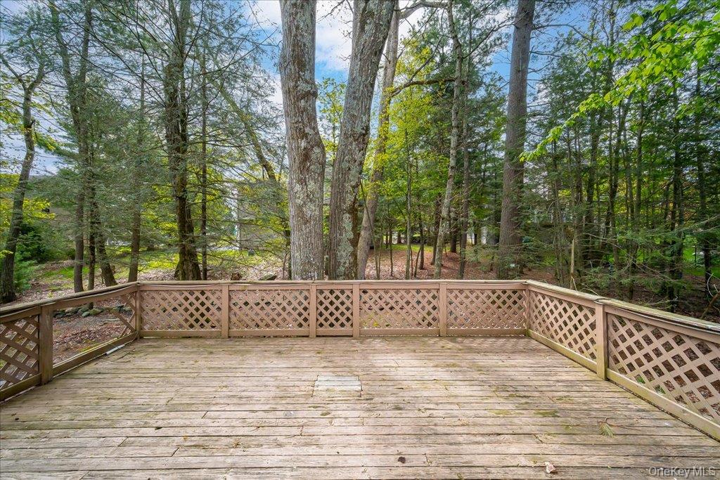 17 Chester Street – For Sale photo 28