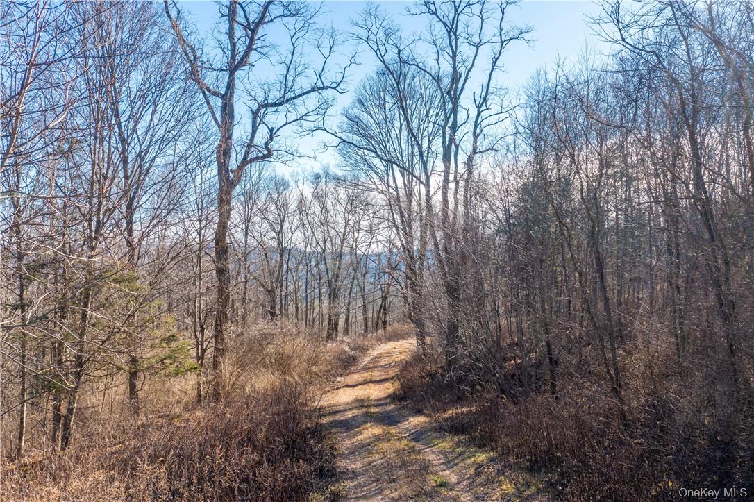 1297 Route 343 – For Sale photo 8