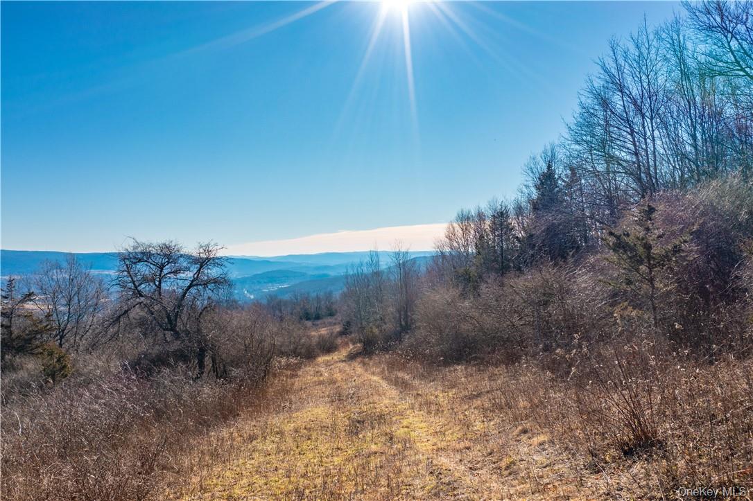 1297 Route 343 – For Sale photo 7