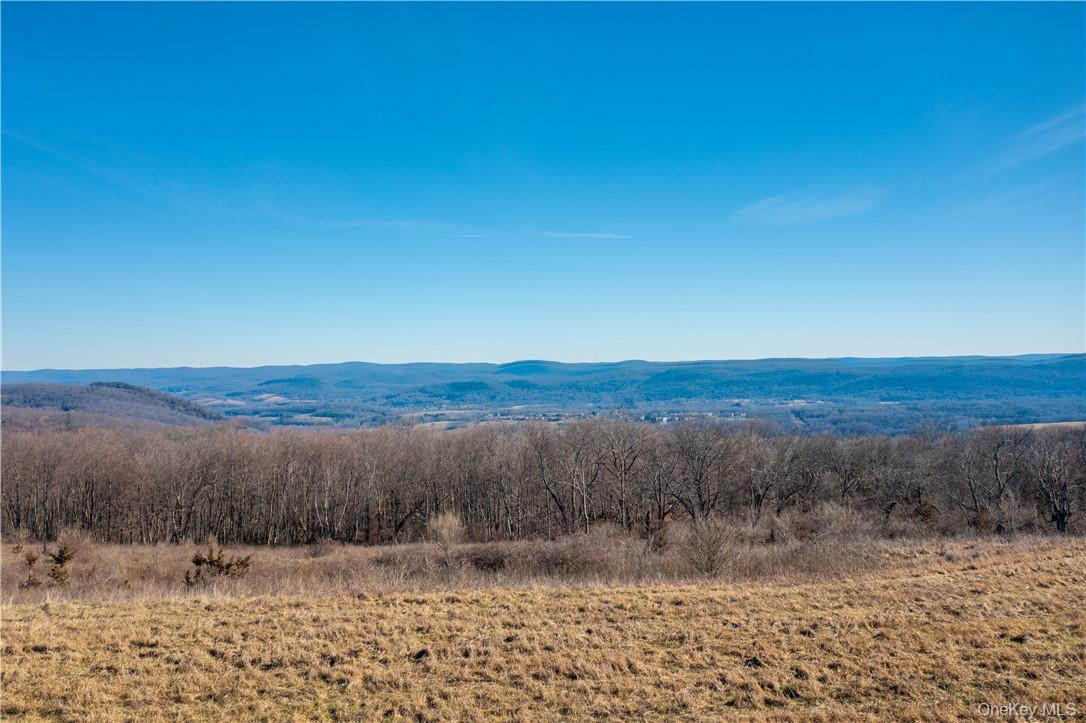 1297 Route 343 – For Sale photo 2