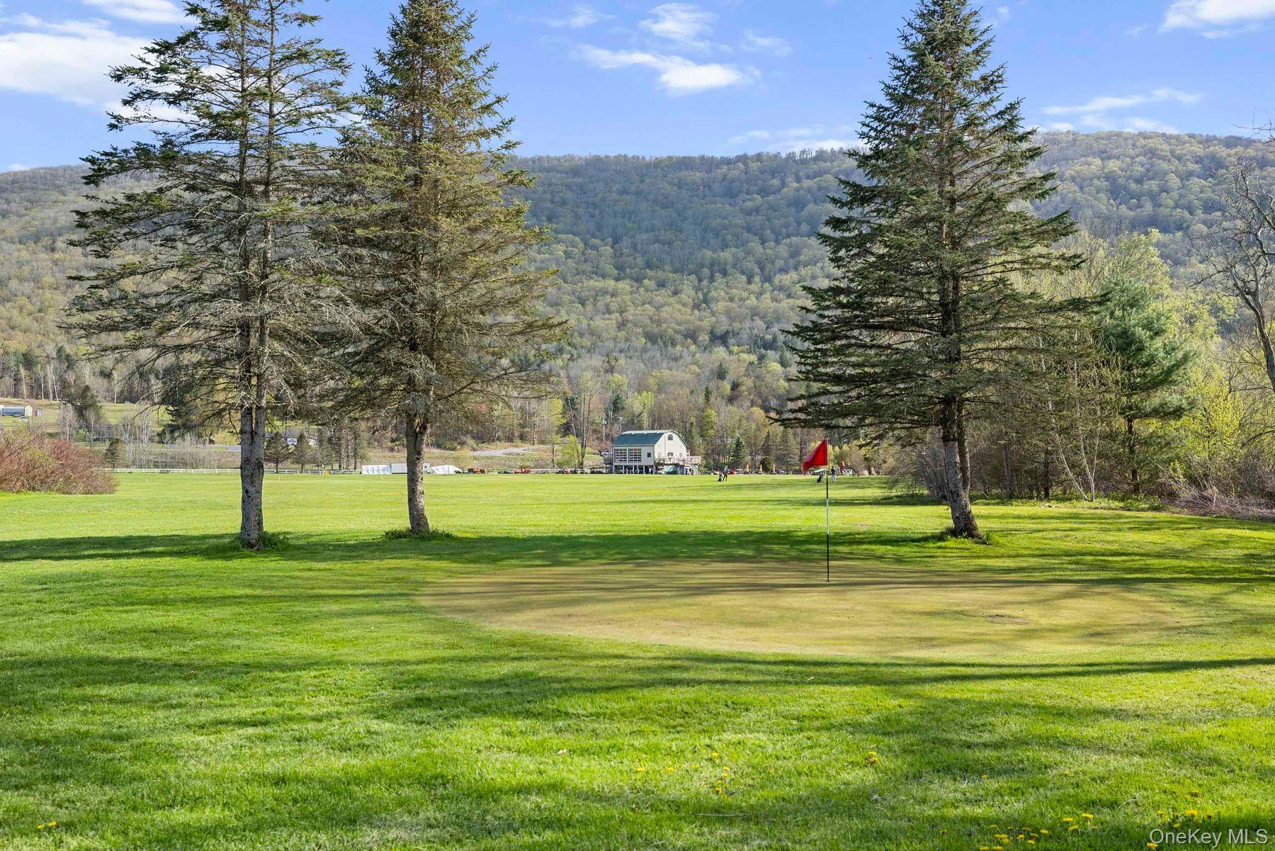 42565 Route 28 – For Sale photo 5