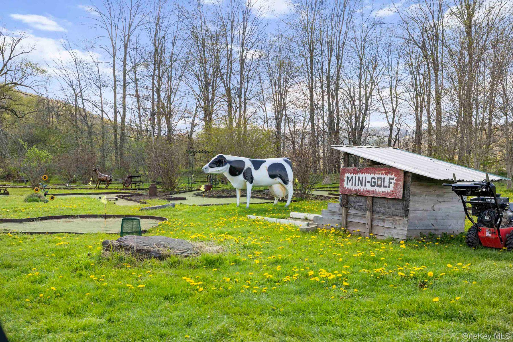 42565 Route 28 – For Sale photo 22