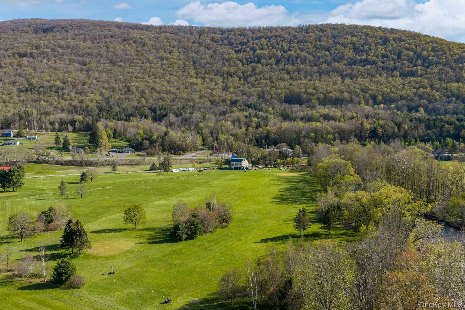 42565 Route 28 – For Sale photo 2