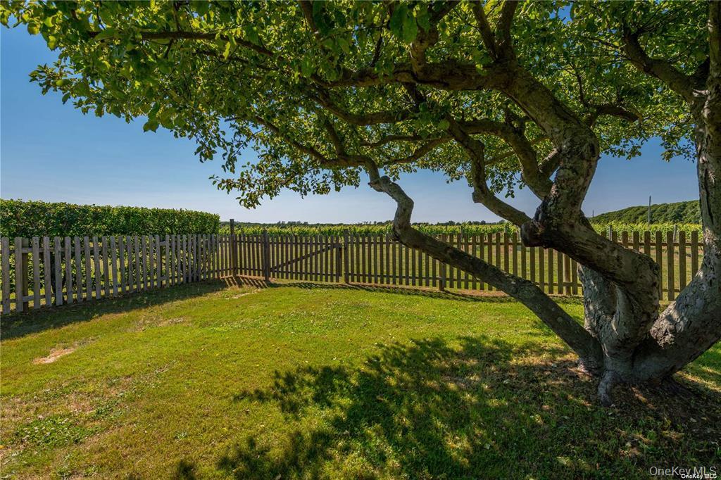 4782 Alvah’s Lane – For Rent photo 32