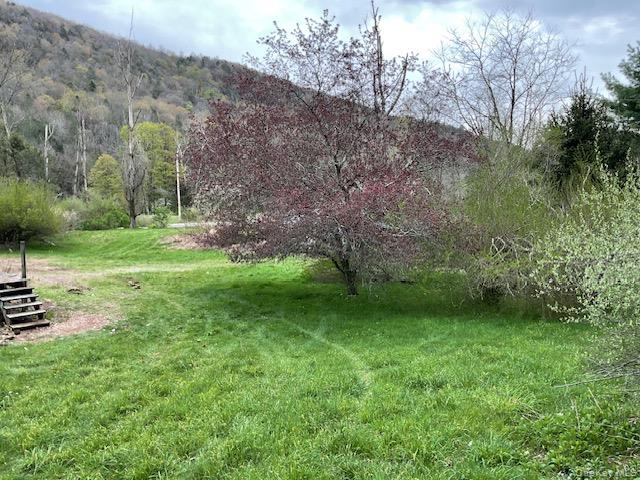 257 Cr 134 – For Sale photo 8