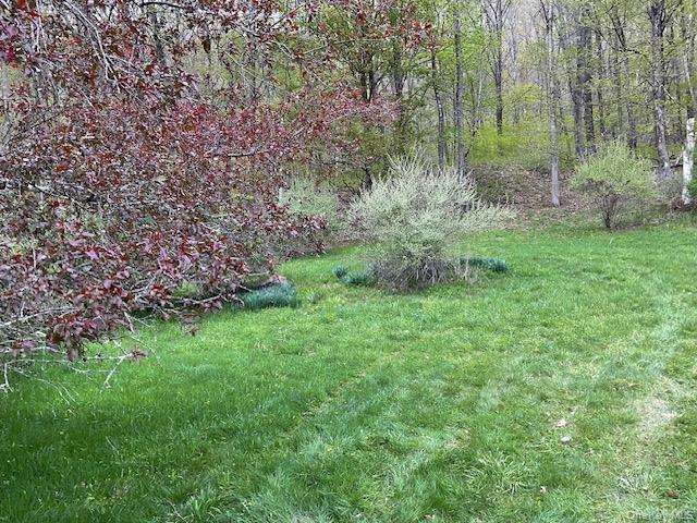 257 Cr 134 – For Sale photo 6
