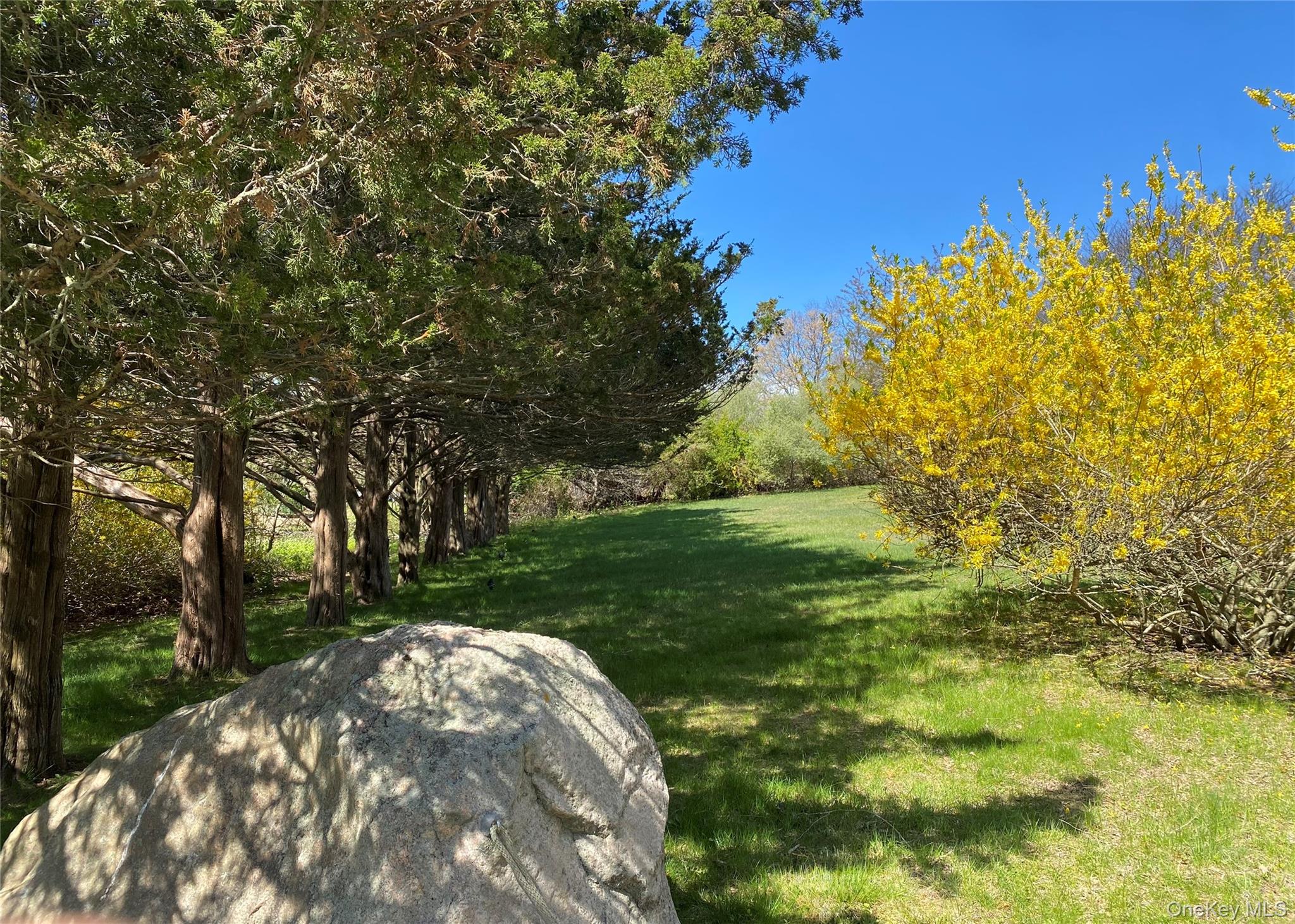 100 Sound Drive – For Sale photo 3