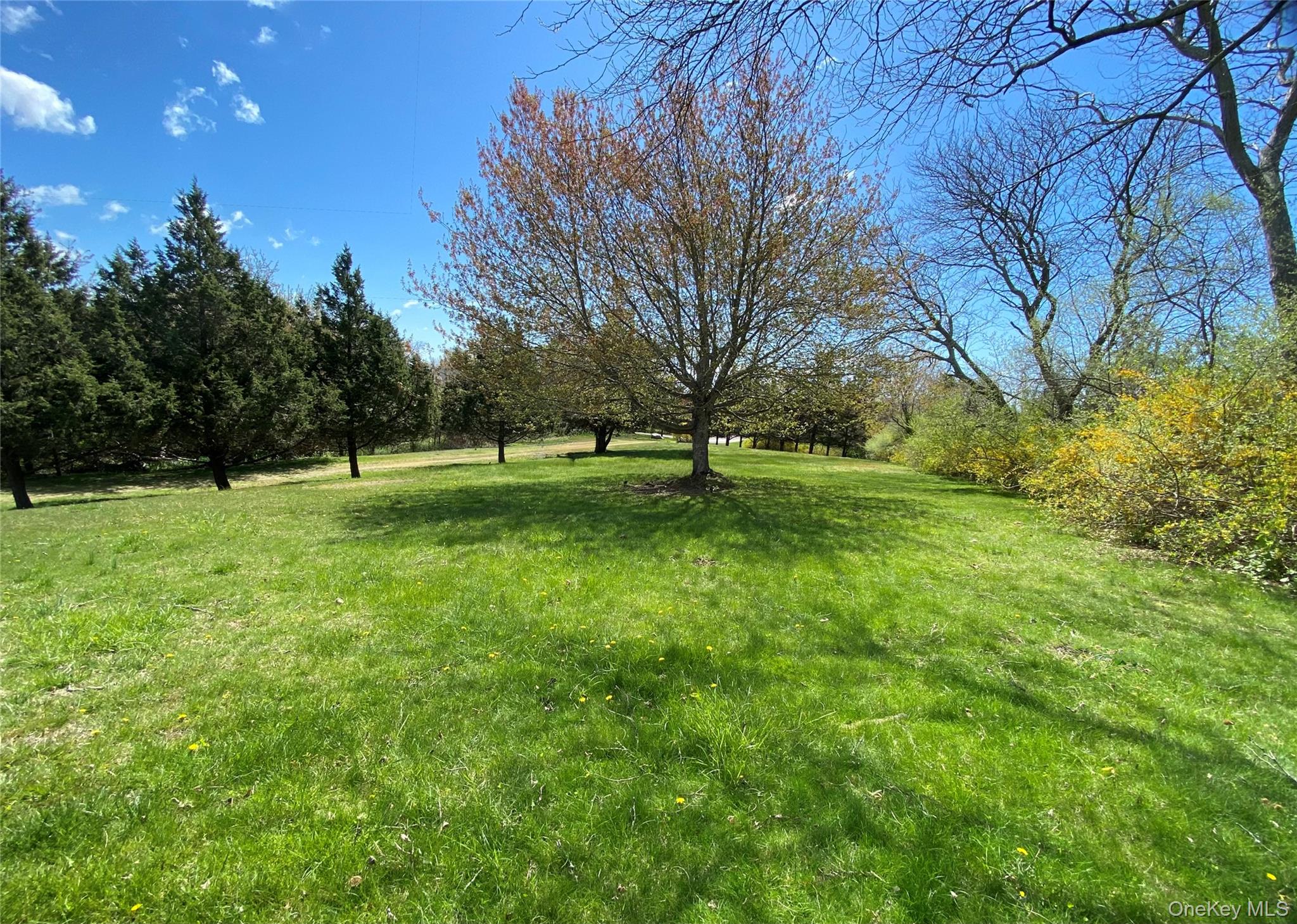 100 Sound Drive – For Sale photo 4