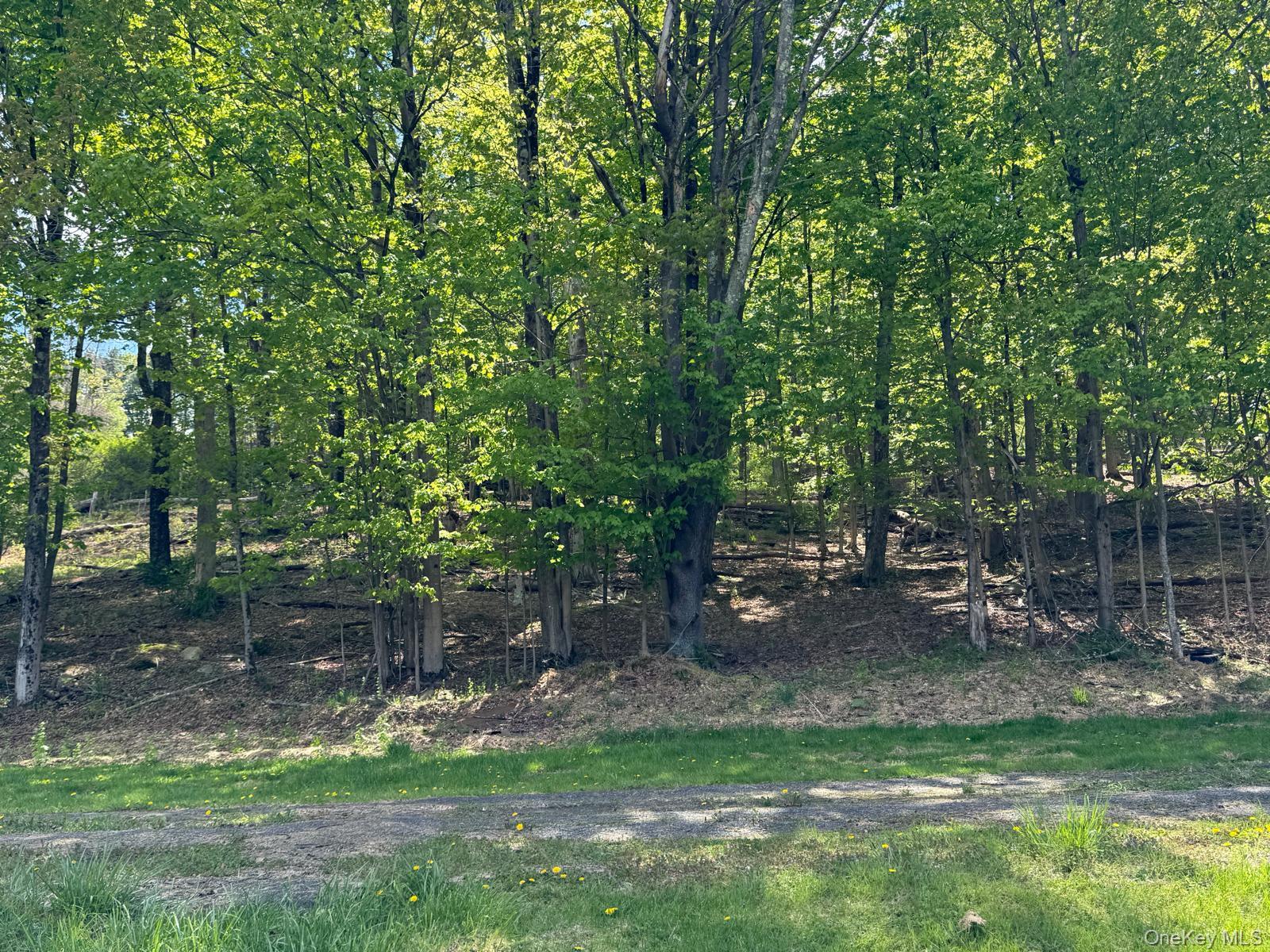 Westwood Avenue – For Sale photo 2