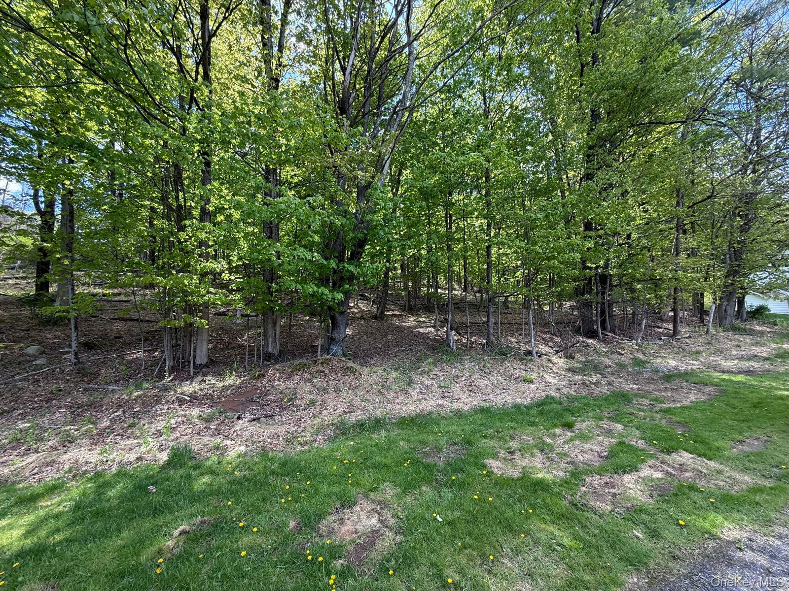 Westwood Avenue – For Sale photo 5
