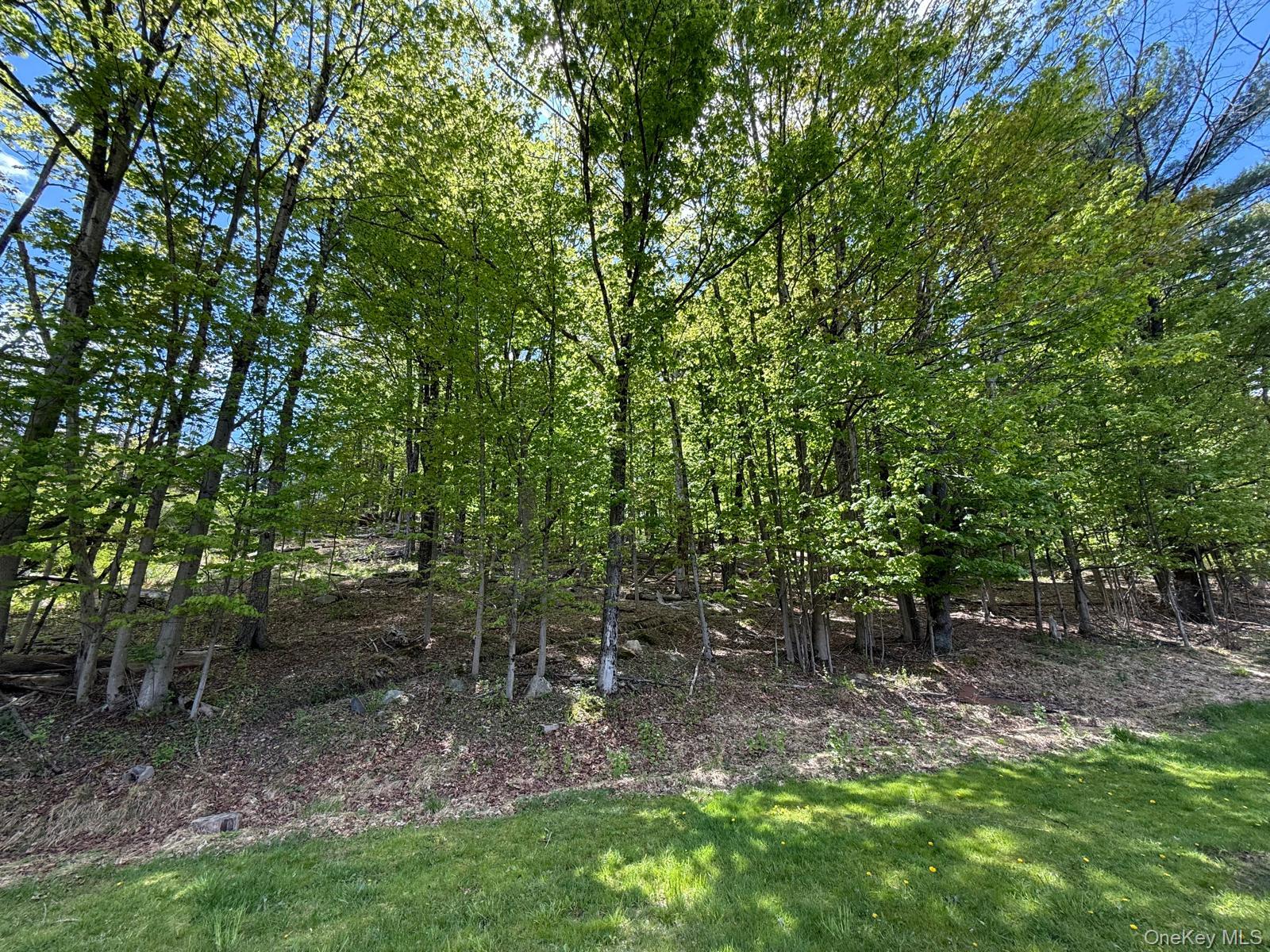 Westwood Avenue – For Sale photo 3