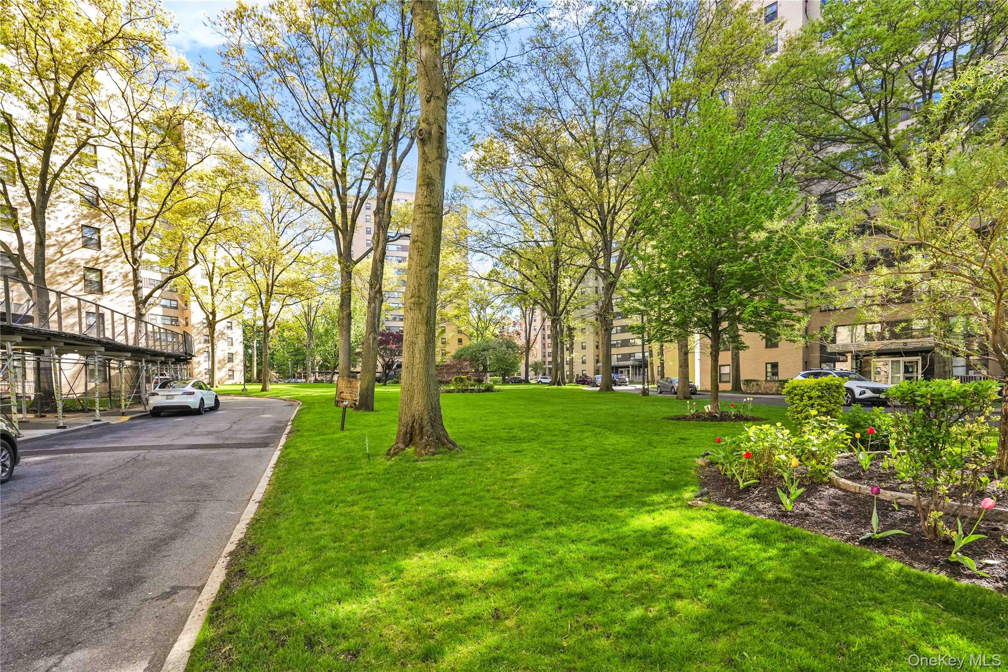 3 Fordham Hill Oval, Unit 1F photo 2